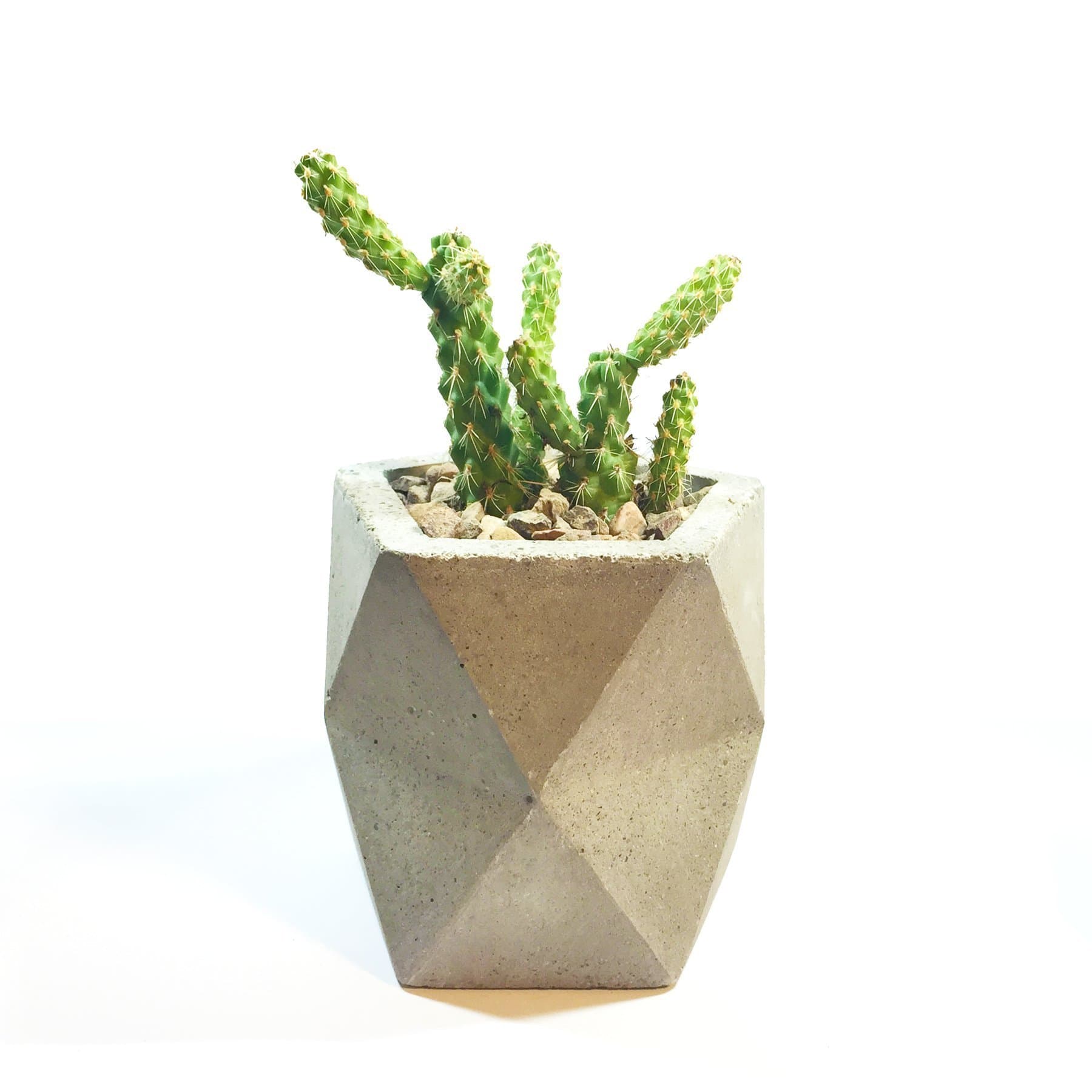 Geometric Concrete Planter