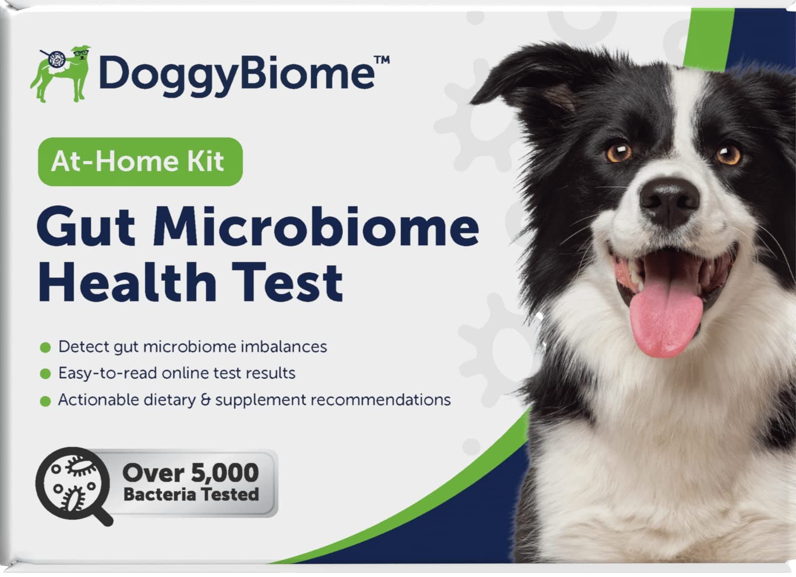 Dog Gut Health Test – DoggyBiome At Home Stool Testing Kit, Canine Fecal Analysis for Digestive Issues, Diarrhea & Allergy Insights w/Personalized Report & Custom Plan (Dogs in US)