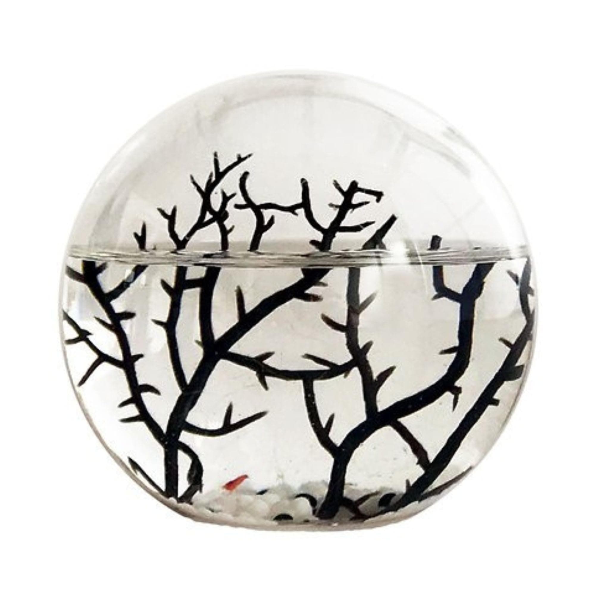 Ecosystem- Closed Ecosystem, Small Round Sphere 4" with 2-3 Shrimp