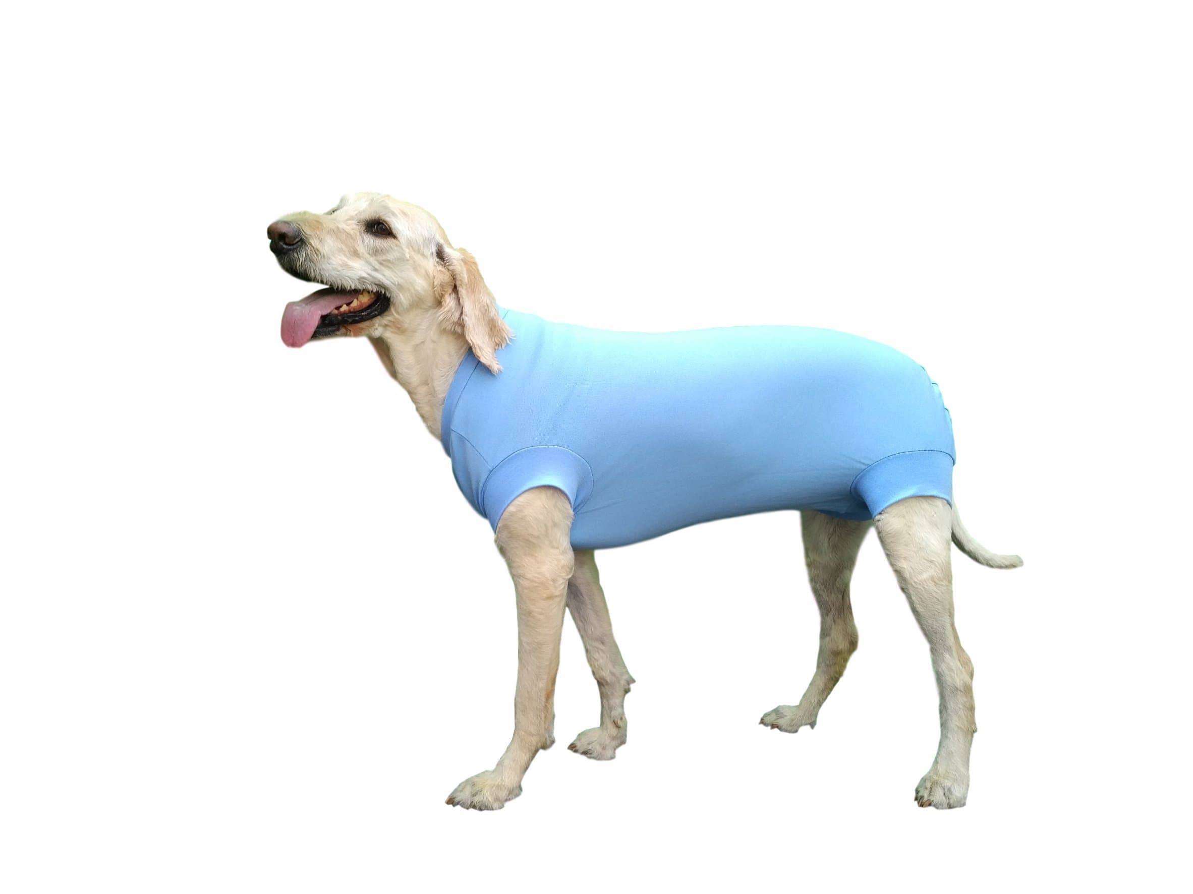 Protective Wear Recovery Suit for Wound and Bandage Protection. After Dog Surgery, Hot Spots, and Skin Disease. E-Collar Alternative for Dog Wound. Dog After Surgery Wear. (XX-Large, Blue)