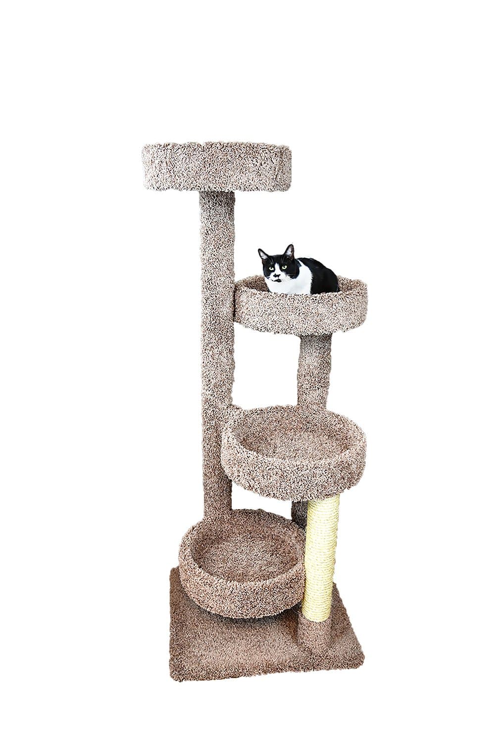 Cat Tree, Brown