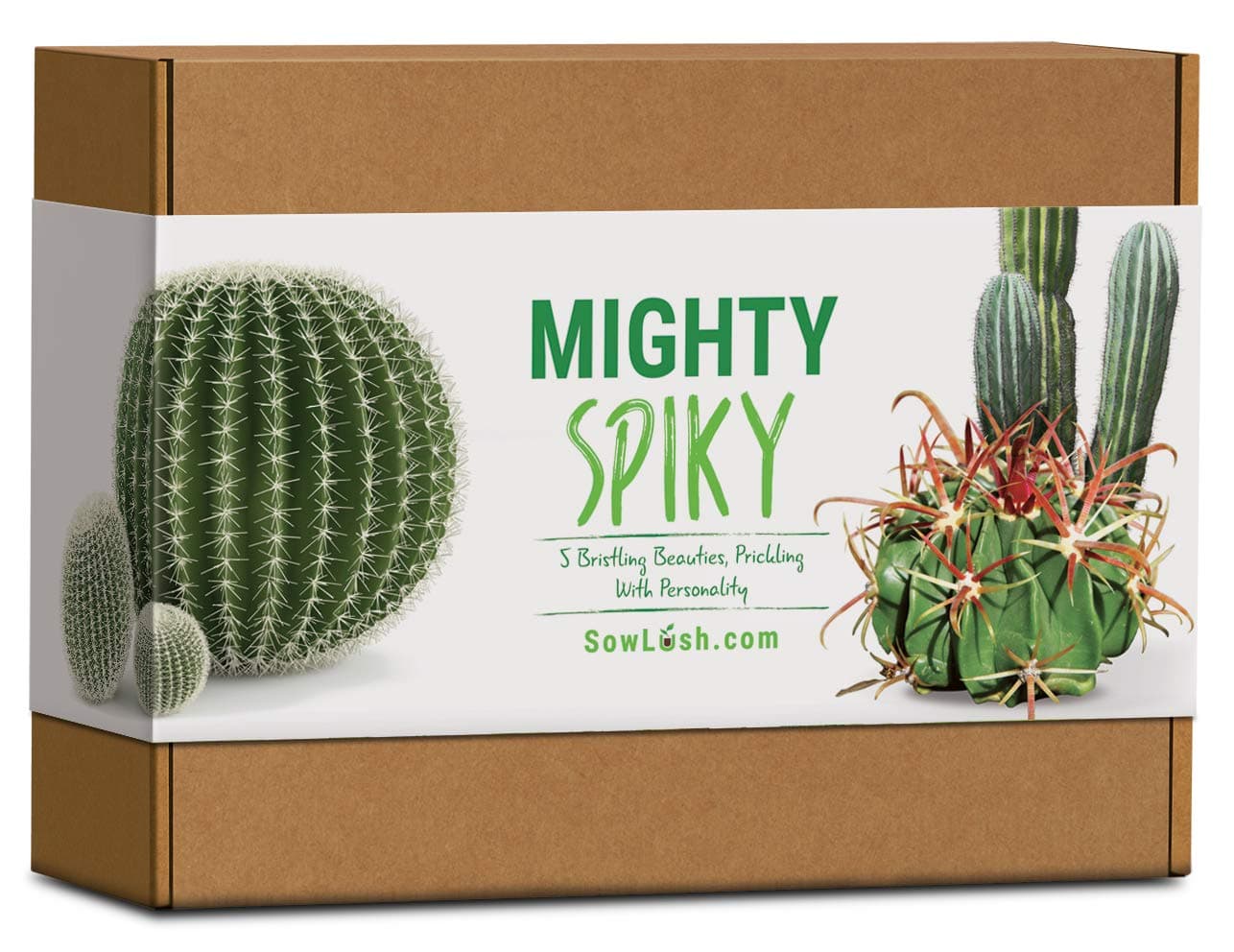 Mighty Spiky Cactus Gift Seed Kit. Easy to Grow 5 Bristling Beauties Packed with Personality