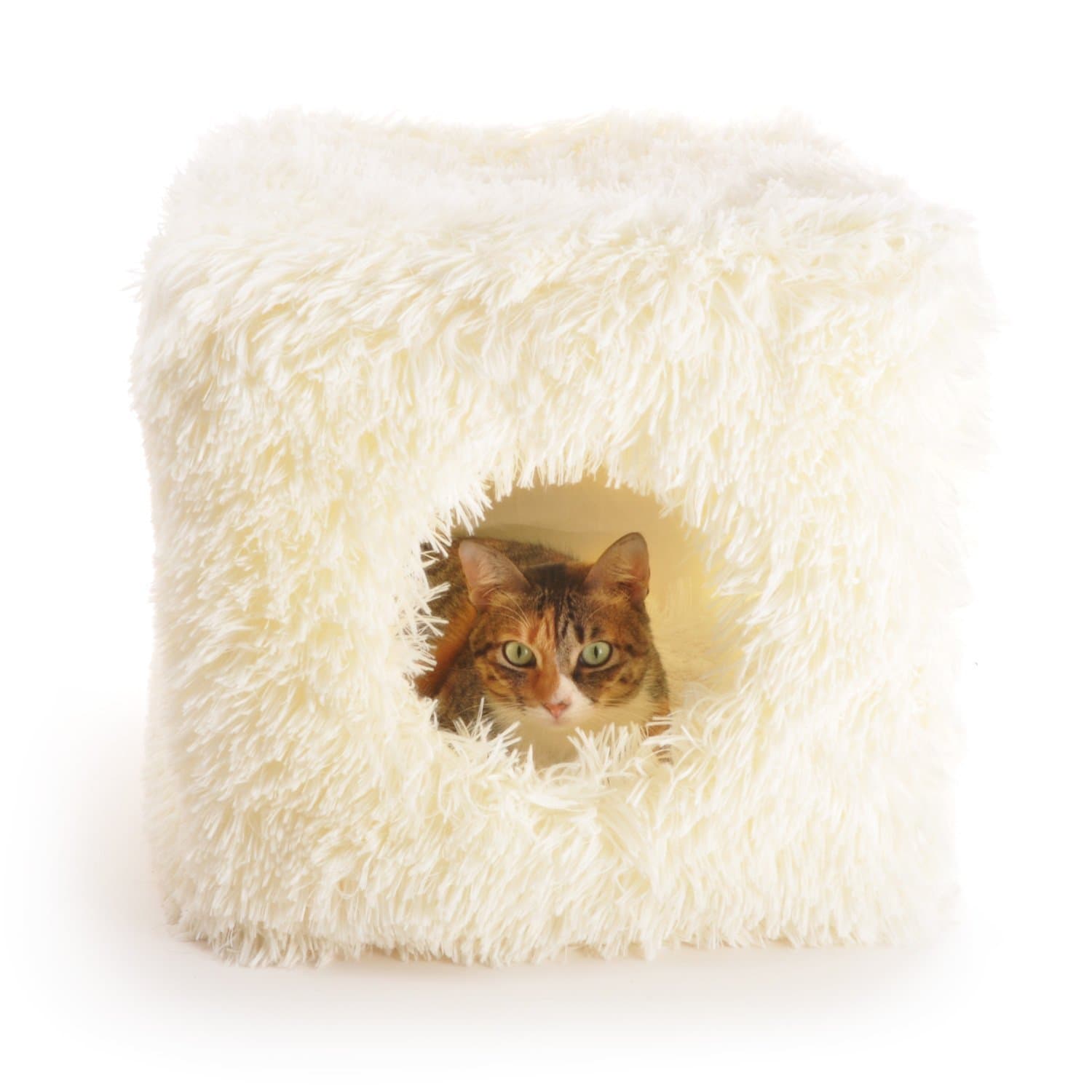 Furry Cat House