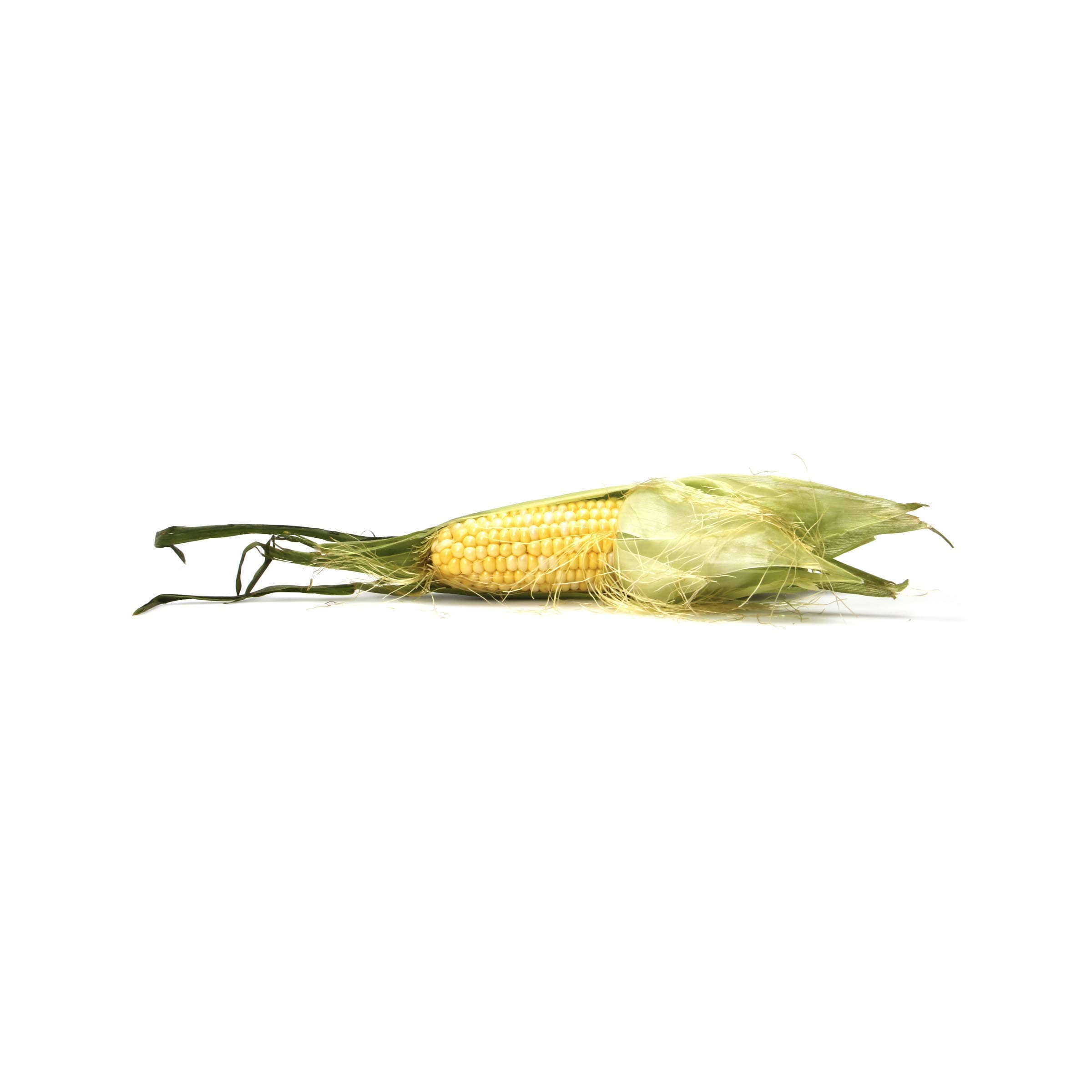 Sweet Corn, 1 Ear