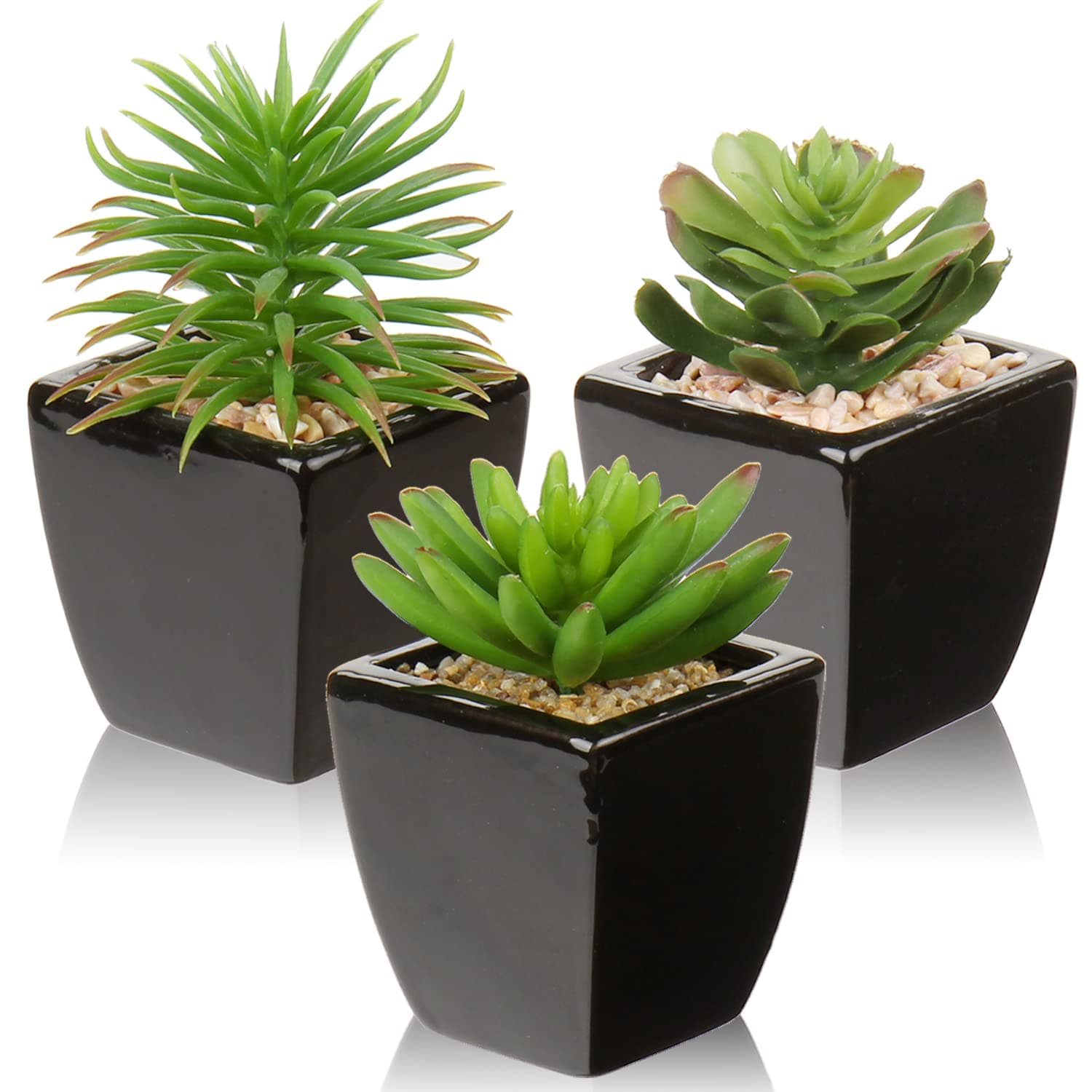 Hollyone Small Succulents Artificial 3 Pcs Faux Succulents in Pots Fake Succulent Plants with Black Ceramic Pots for Modern Home Office Desk Bathroom Shelf Living Room Decor