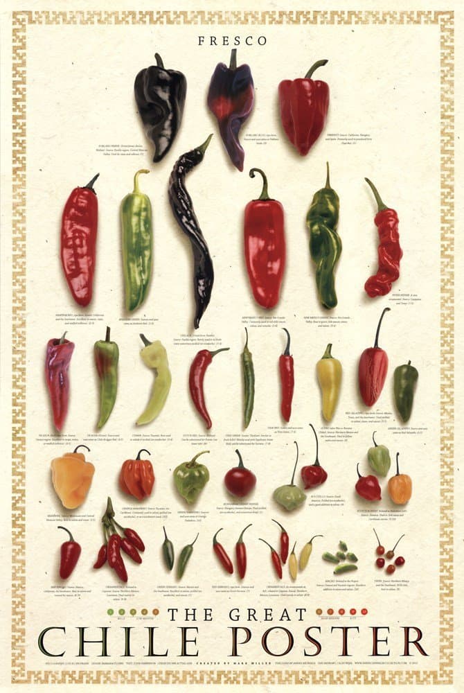 Laminated Great Chile Poster (Fresh) by Mark Miller 24x36 Art Print Poster