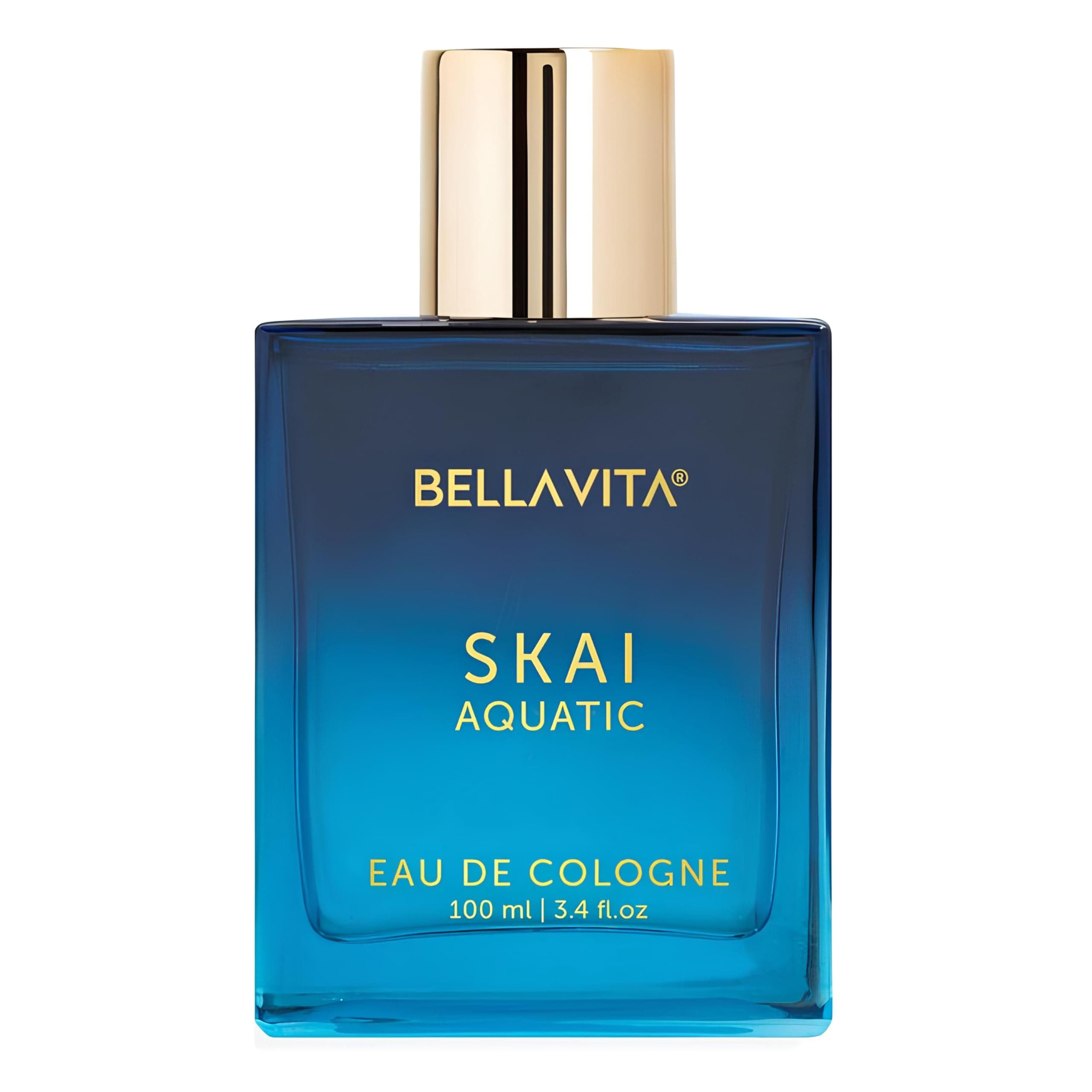 BellaVita Luxury SKAI Aquatic Cologne for Men | Fresh Bergamot & Pink Pepper Scent | Long-Lasting Mens Perfume with 20% Dense Perfume Oil | Unisex, Vegan Spray | Gift for Men, Perfume,100ml