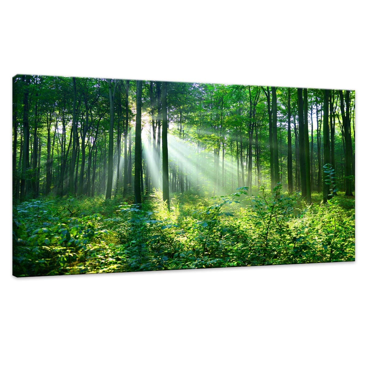 Canvas Wall Art Green Forest Wall Decor Nature Painting Large Artwork Pictures Green trees Woods Landscape for Living Room Office Home Bedroom Fantastic Decor of Sunshine Peeking Through Rainforest