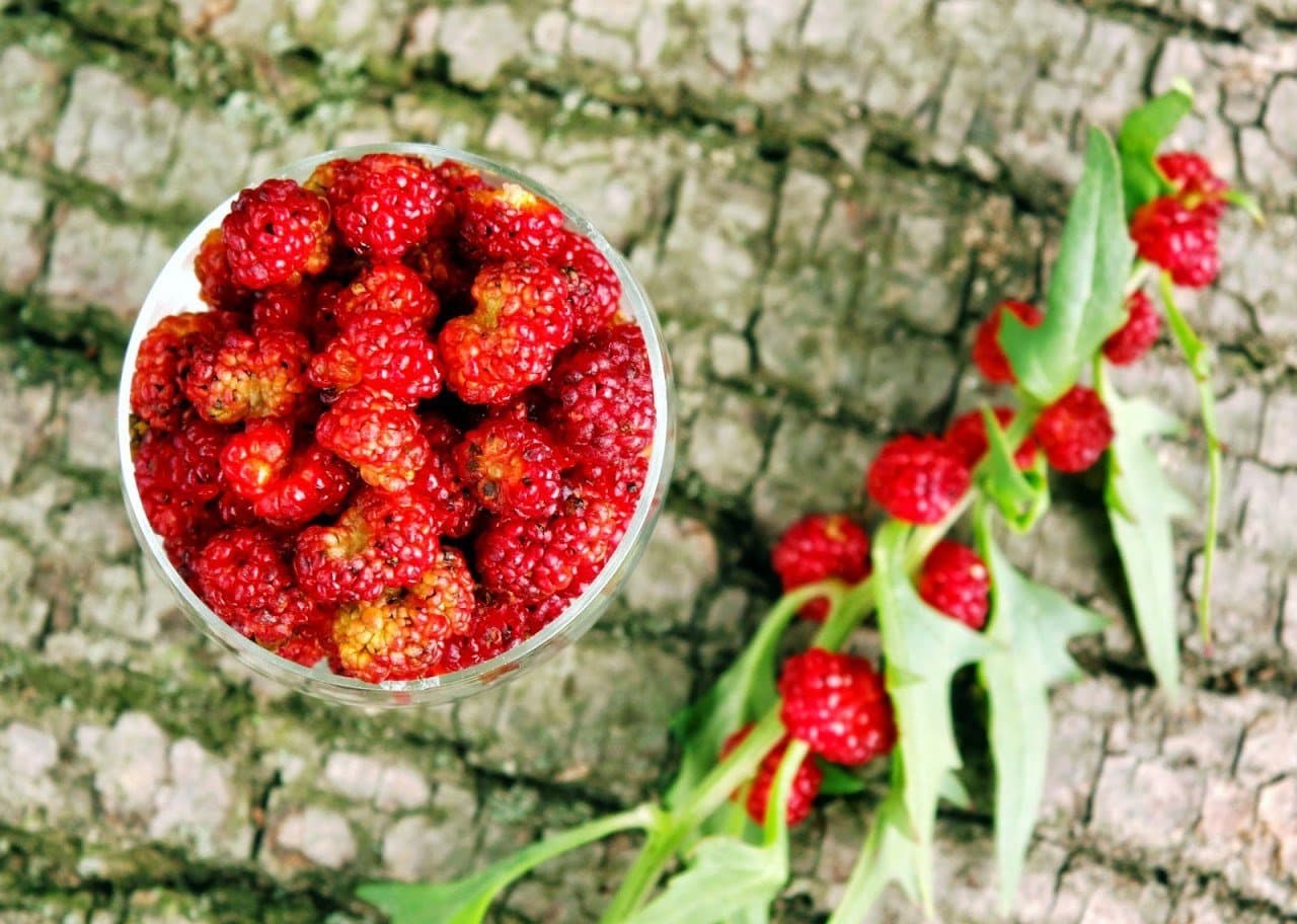 Seeds Strawberry Sticks Spinach (Chenopodium foliosum) Climbing Vegetable Annual Edible Flower Organic Ukraine for Planting