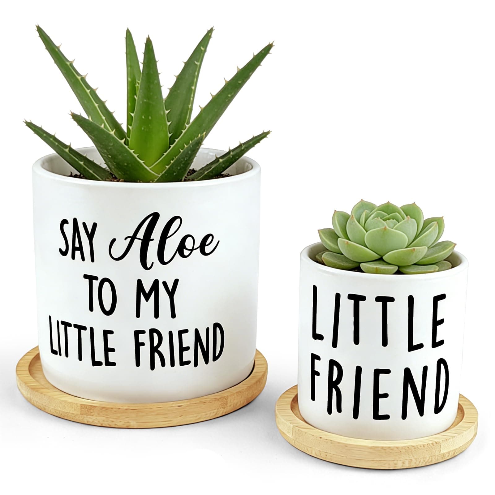 Say Aloe to My Little Friend Planter Pot, Funny Plant Pots, Aloe Plant Pot Succulent Pots with Tray Set of 2 Flower Pots Indoor Pot - Without Plants, Office Home Windowsill Gifts (No Plant)