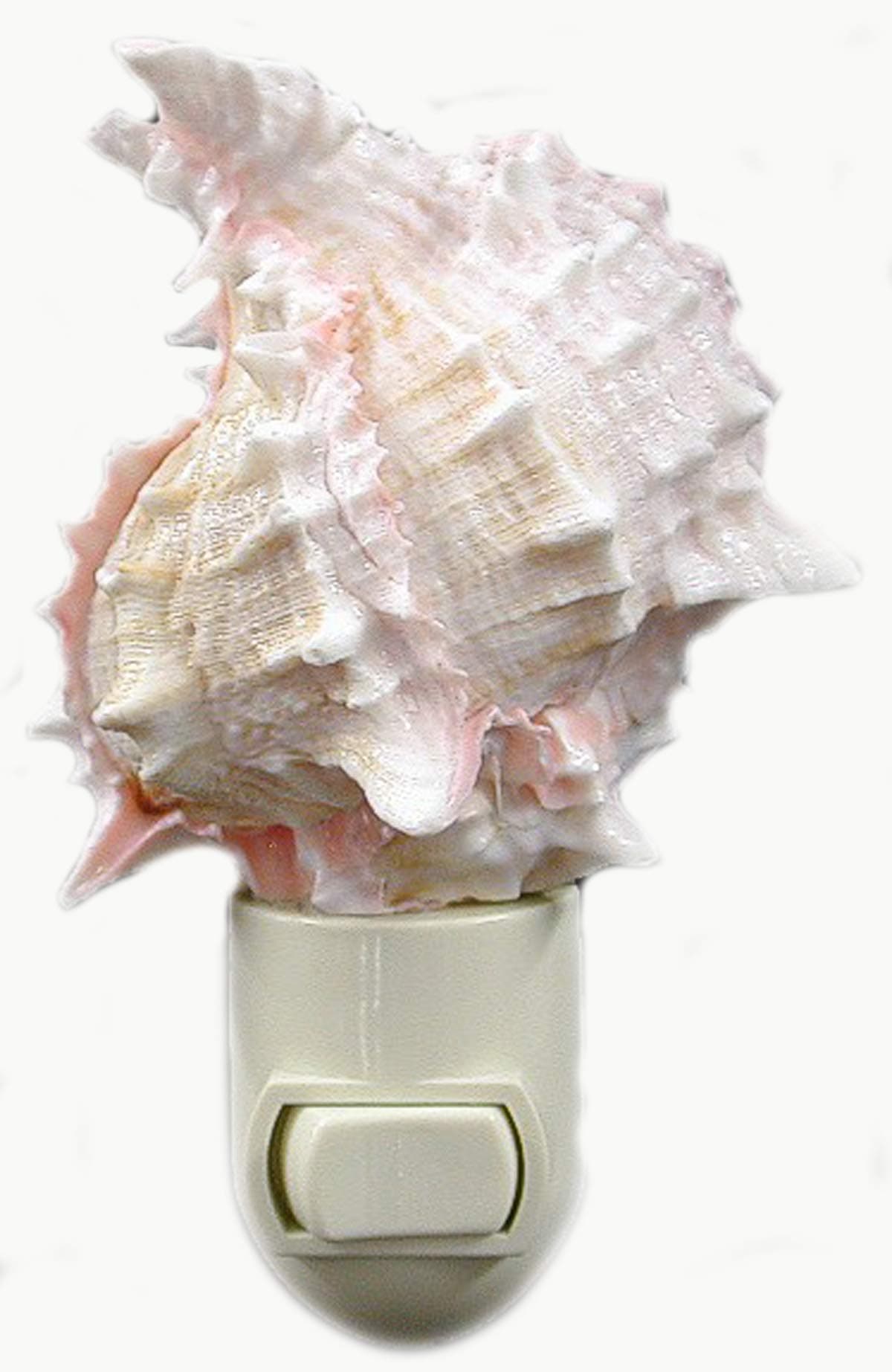 Seashell Night Light Real Pink Murex Shell Beach Decor w. on/Off Switch Beautiful Coastal Cottage