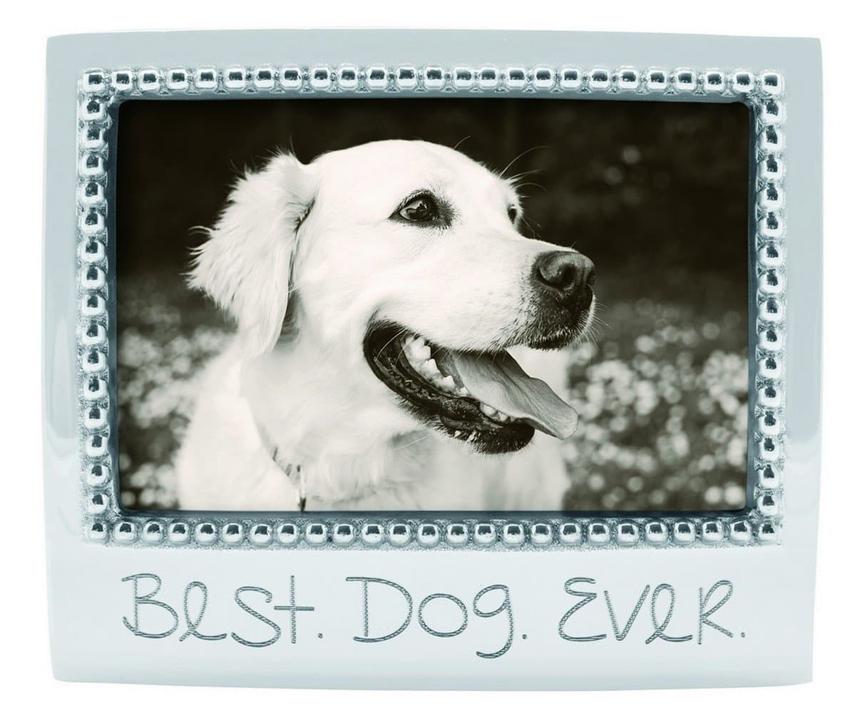 "Best Dog Ever" Frame