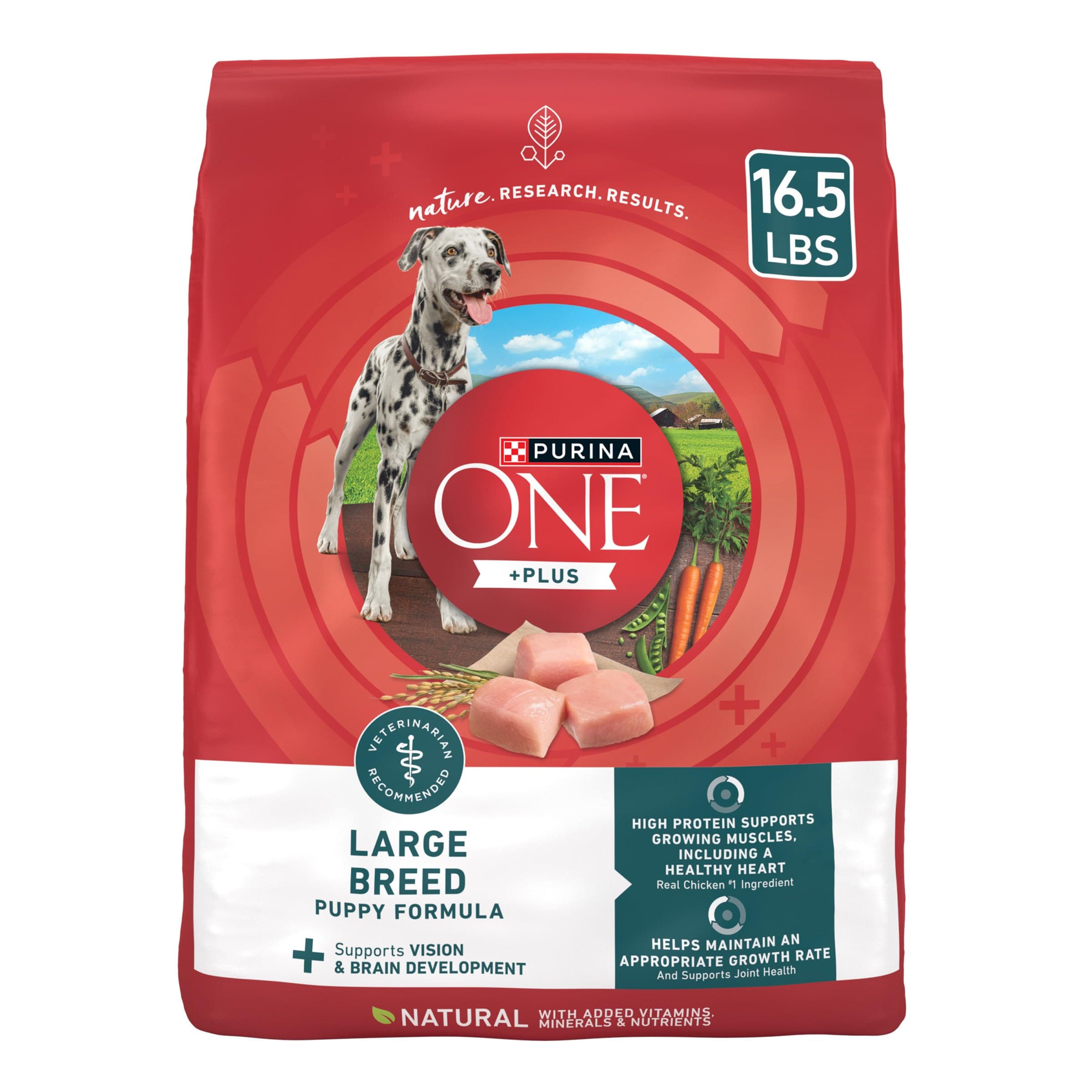 Purina ONE Plus Large Breed Puppy Food Dry Formula - 16.5 lb. Bag