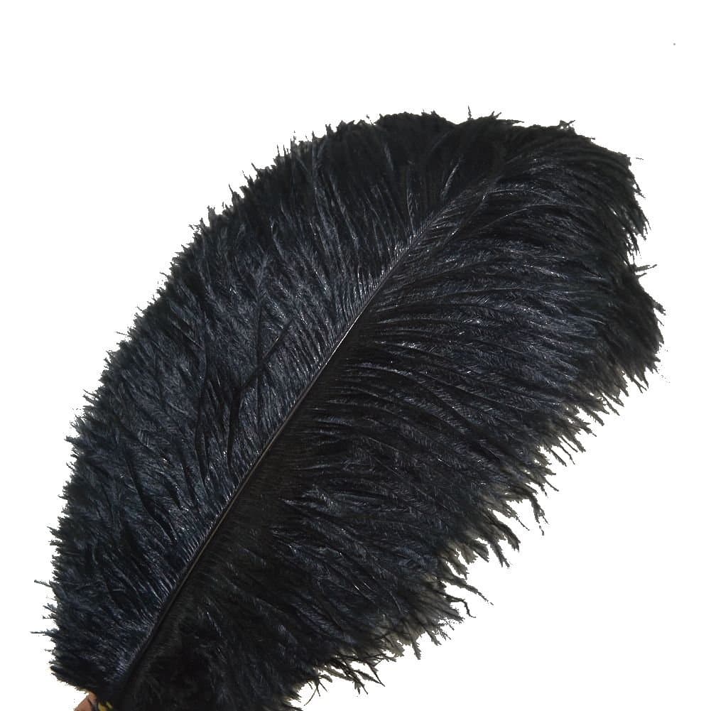 Sowder 10pcs Ostrich Feathers 12-14inch(30-35cm) for Home Wedding Decoration(black)