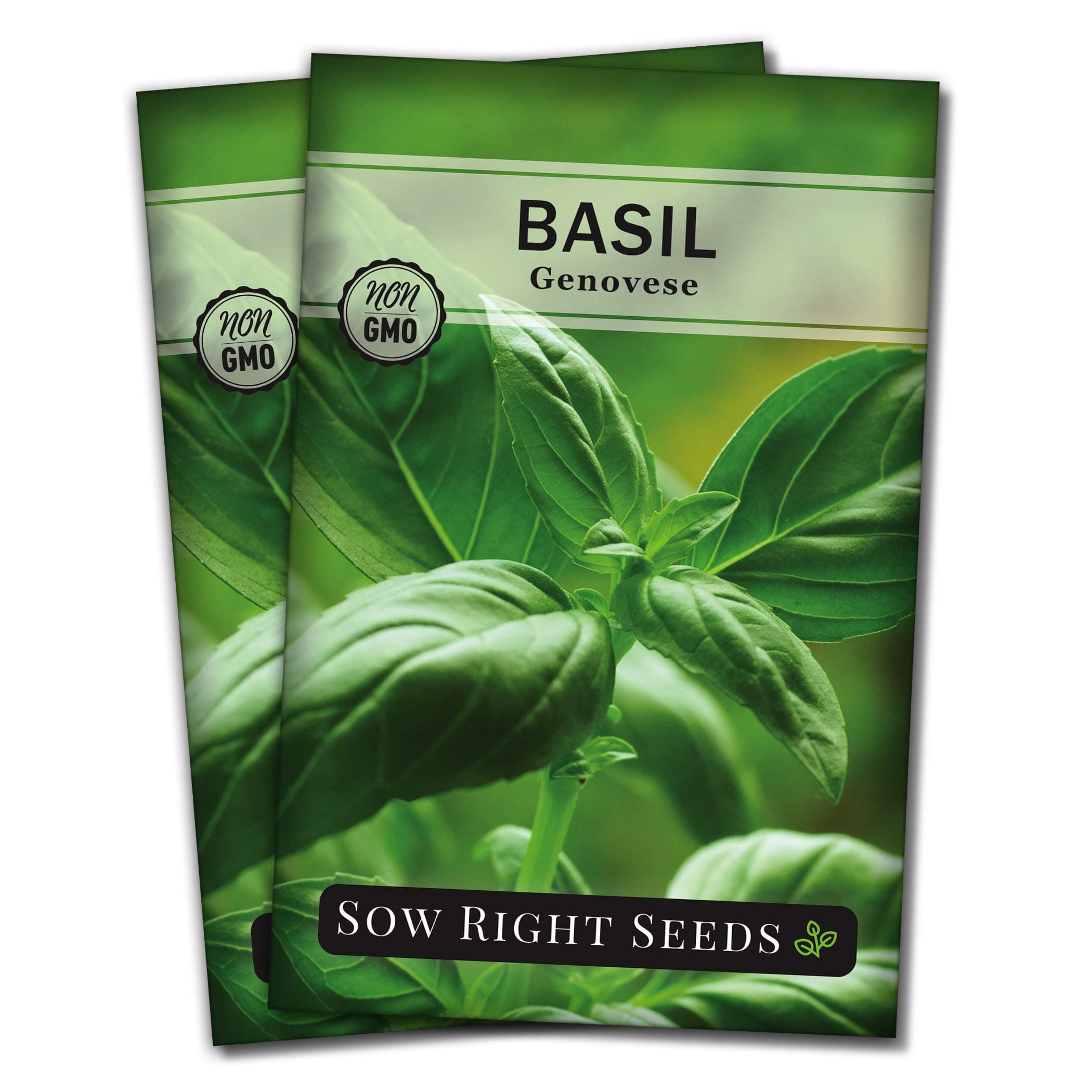 Sow Right Seeds - Genovese Sweet Basil Seed for Planting - Non-GMO Heirloom Packet with Instructions to Plant and Grow a Kitchen Herb Garden - Indoors or Outdoor - Great for Hydroponic Gardening (2)