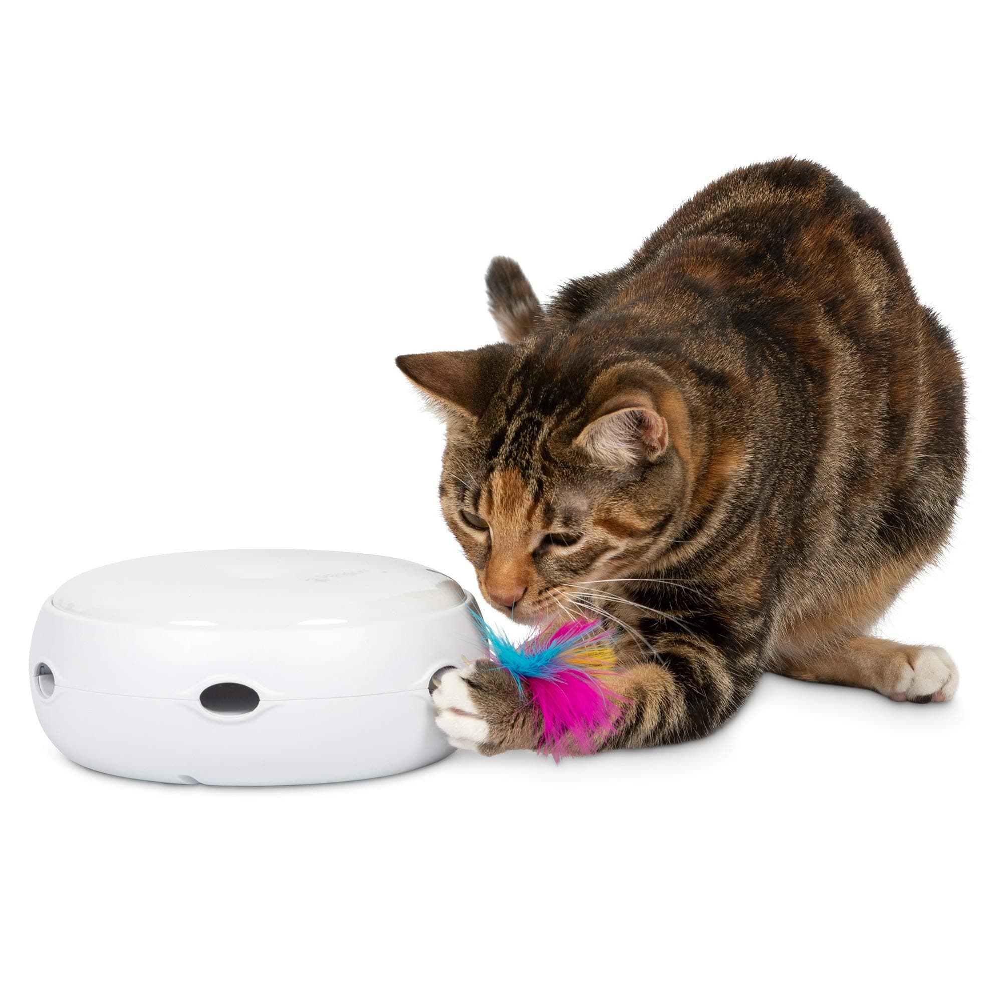 AMBUSH INTERACTIVE Cat Toy with electronic rotating feather. (Smart modes, nighttime light, batteries included)