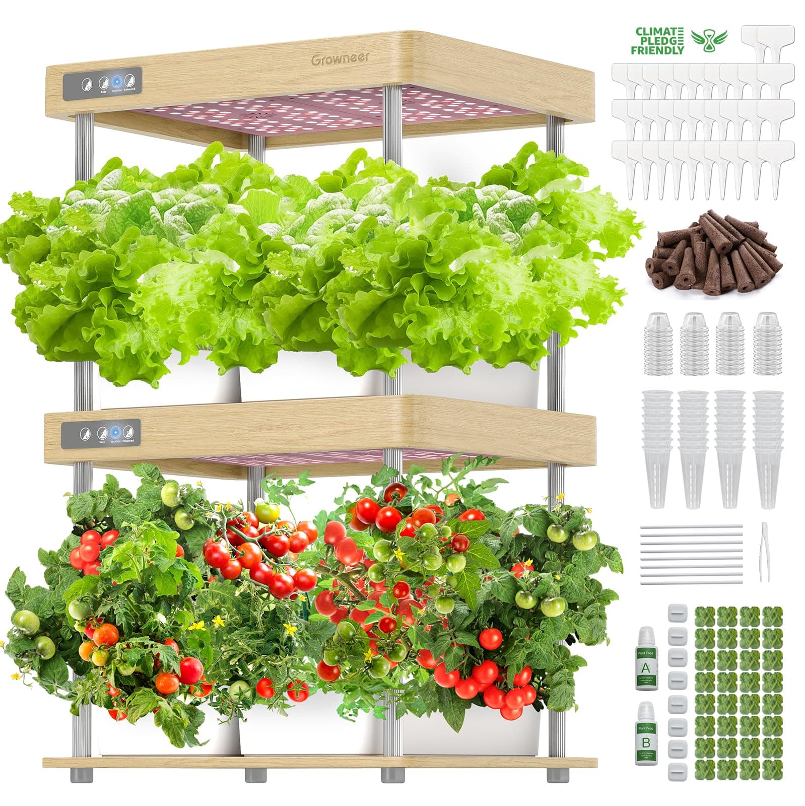 GROWNEER HydroEasy1.0 Hydroponic Growing System, 2-Tier Indoor Garden with Full-Spectrum LED Grow Lights, 32 Pods, Solid Wood Design, Independent Water Circulation, Ideal for Vegetables, Herbs, Pine