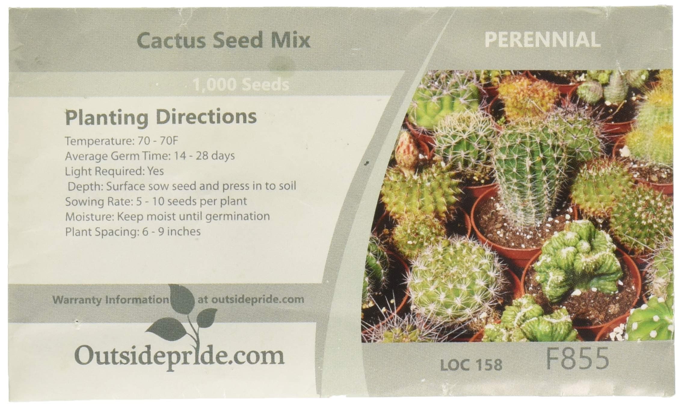 Outsidepride Mix Cactus Seeds - 1000 Pcs Perennial, Drought-Tolerant & Low Maintenance Succulent Seeds for Planting Blooms with Thick & Fleshy Stems for Sunny Gardens & Windowsills