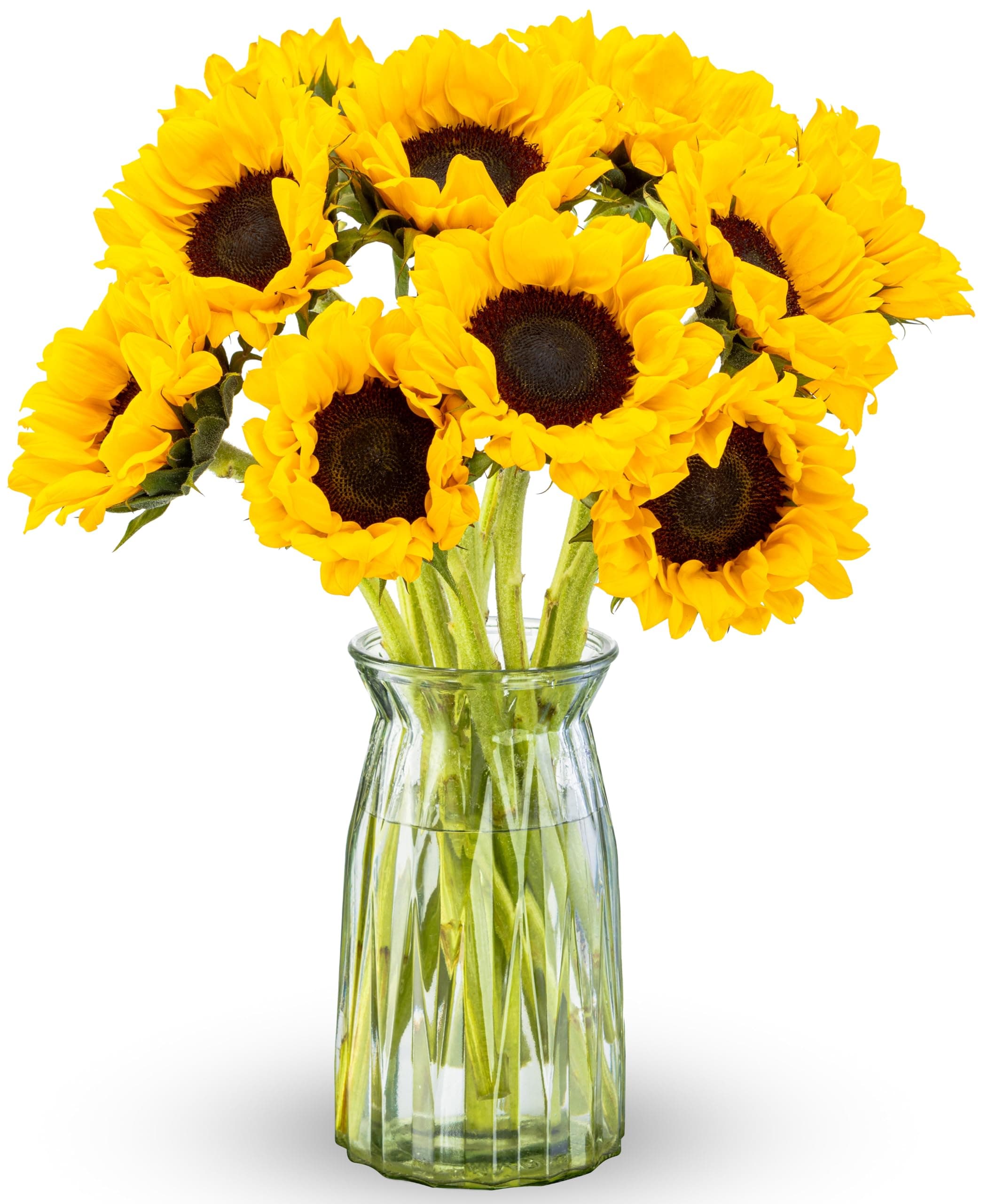 Sunflowers - Fresh Flowers for Delivery - Yellow Flowers in a Vase - Flores Amarillas - Birthday Flowers for Women - Glass Vase Included (10 Stems)