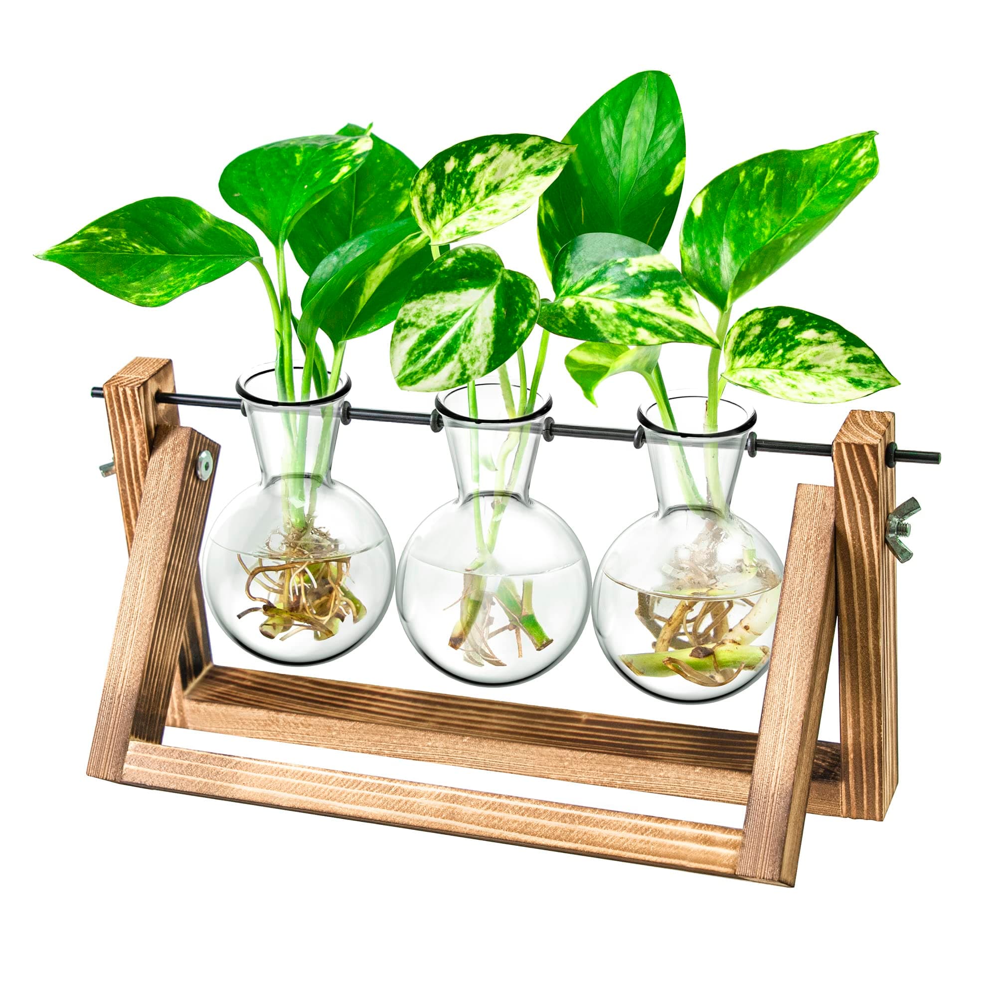 Gifts for Mum,Plant Propagation Station, Plant Terrarium,Gifts for Women Plant Lovers,Plant Cutting Holder Home décor,Plant Starter for hydroponic Plants,House Warming Gifts New Home for her