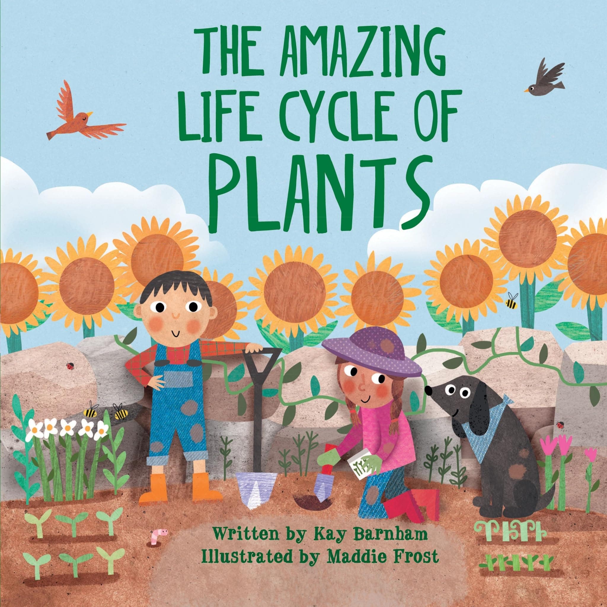 The Amazing Life Cycle of Plants: An Early Reader Science Book About How Plants Grow (Look and Wonder)