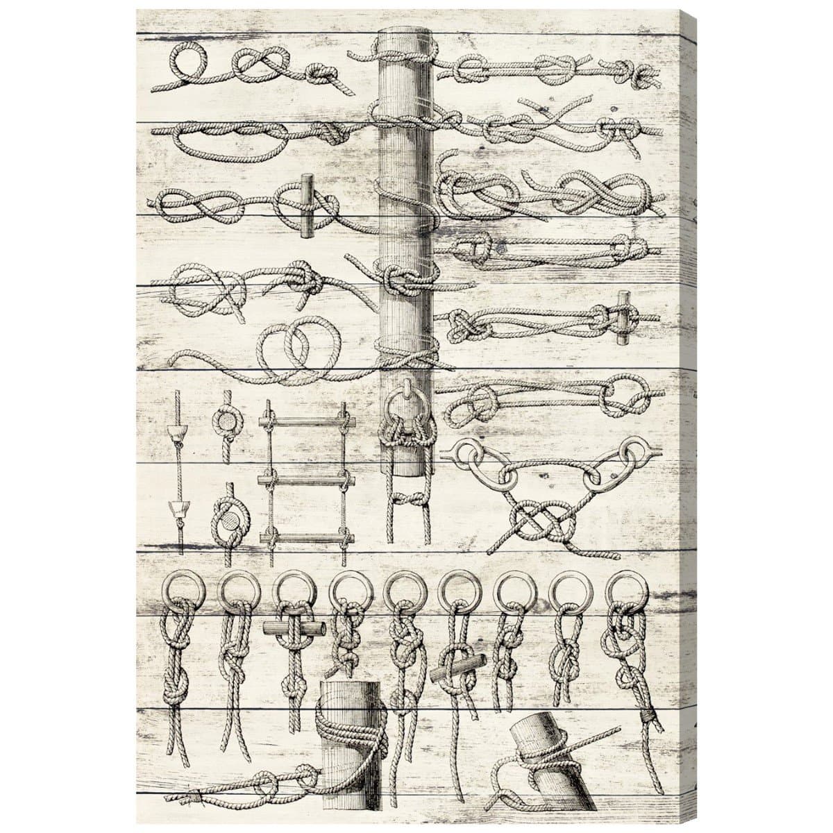 Sea Knots by Hatcher and Ethan x Oliver Gal | Modern Premium Canvas Art Print. The Nautical Wall Art Decor Collection. 20x30 inch, Brown