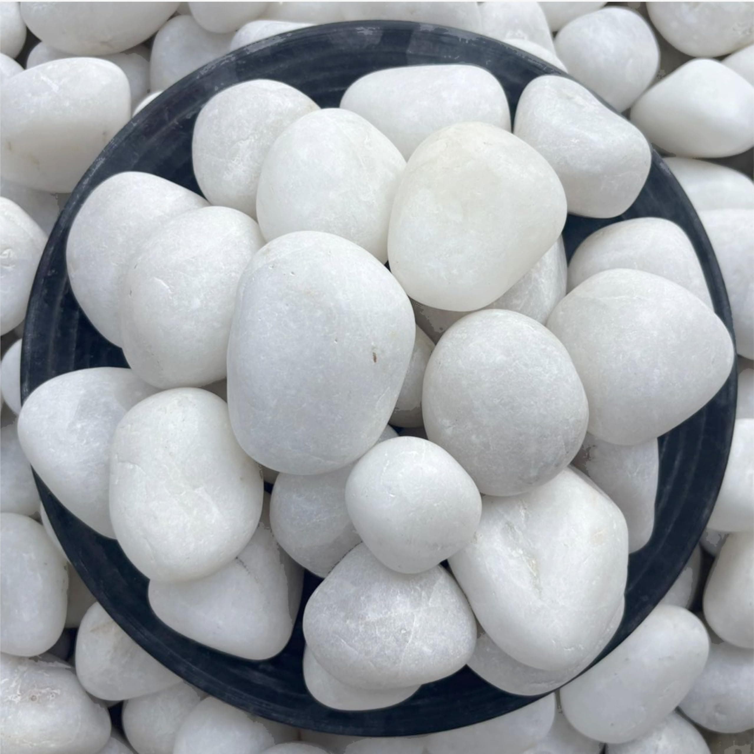 Foodie Puppies Big White Polished River Rock Stones (White Jumbo, 5Kg) (4cm - 6cm) for Home Decoration, Aquarium/Fish Tank, Garden, and Swimming Pool Polished River Rock Unplanted Substrate