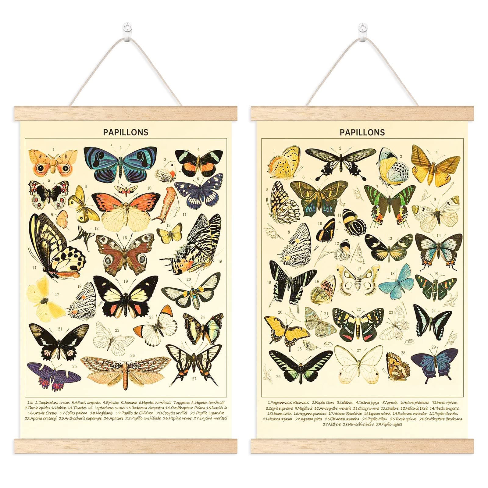 Chenkaiyang 2 Pcs Vintage Butterfly Hanging Poster, Wall Hanging Rustic Retro Wall Art Prints Butterfly Chart Poster for Living Room Decor,18.9 X 11.8 Inch