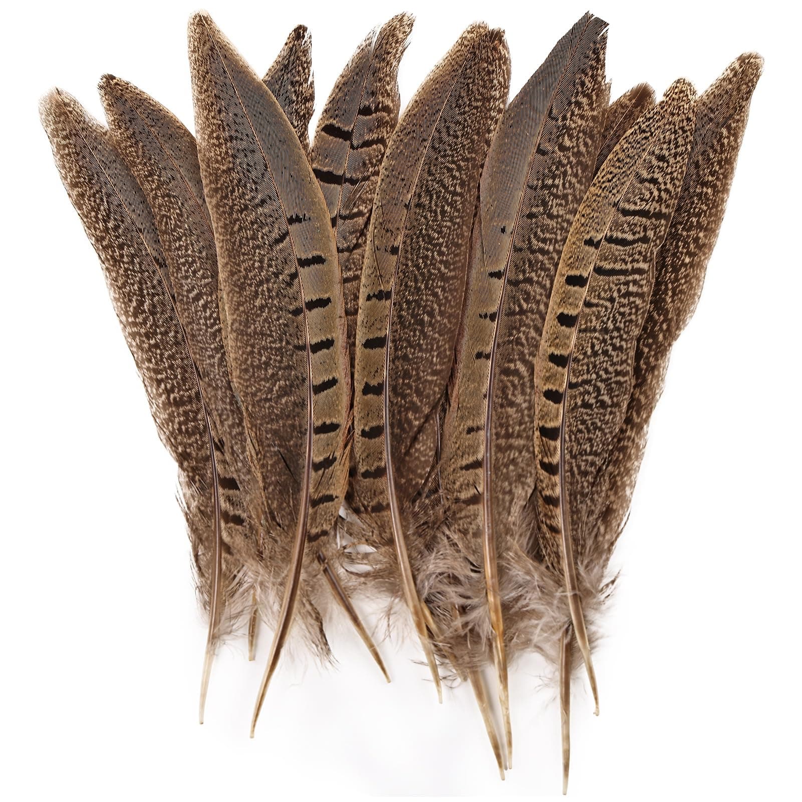 5pcs Pheasant Feather 6-8inch 15-20cm Natural Male Ringneck Tails Feathers for DIY Crafts Home Wedding Party Carnival Decoration