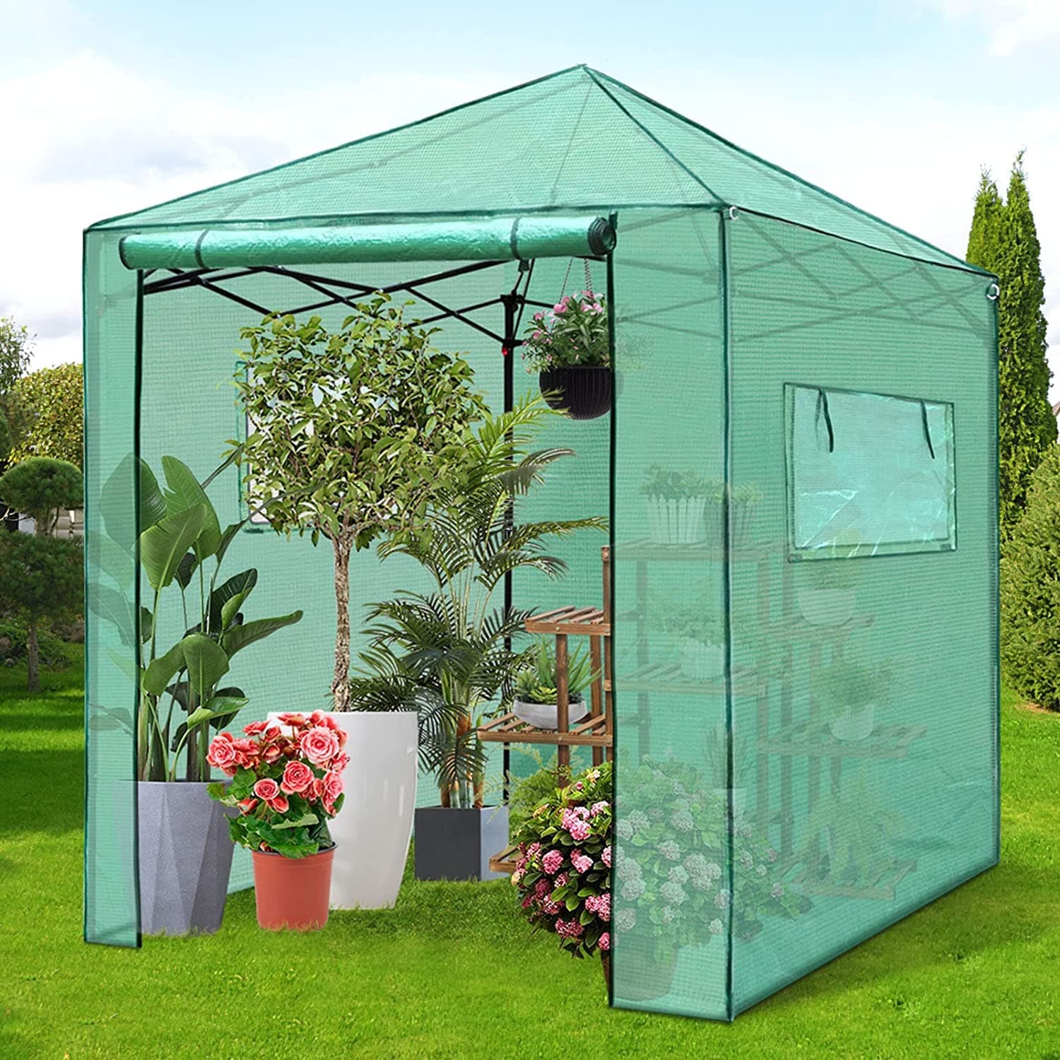 PexFix8'x 8' Portable Walk-in Greenhouse for Outdoor & Indoor, Easy to Assemble Pop up Grow Greenhouses with Sturdy PE Cover and Roll-Up Windows & Door for Flowers, Fruits, Herbs Growing