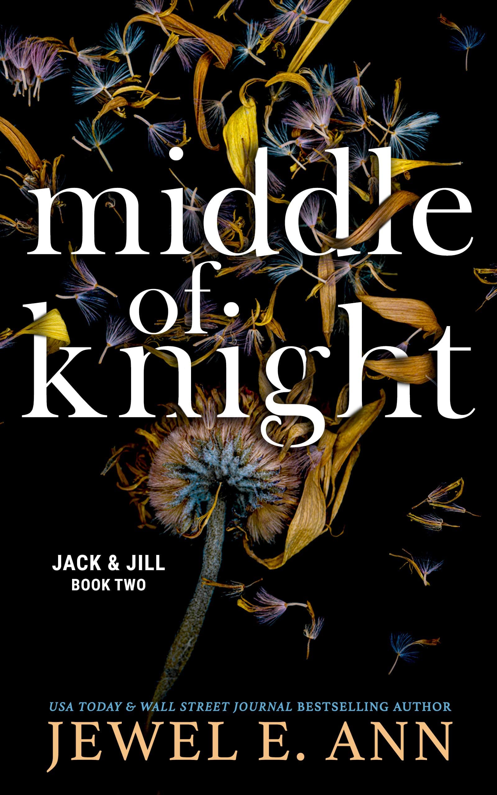 Middle of Knight (Jack & Jill Series Book 2)