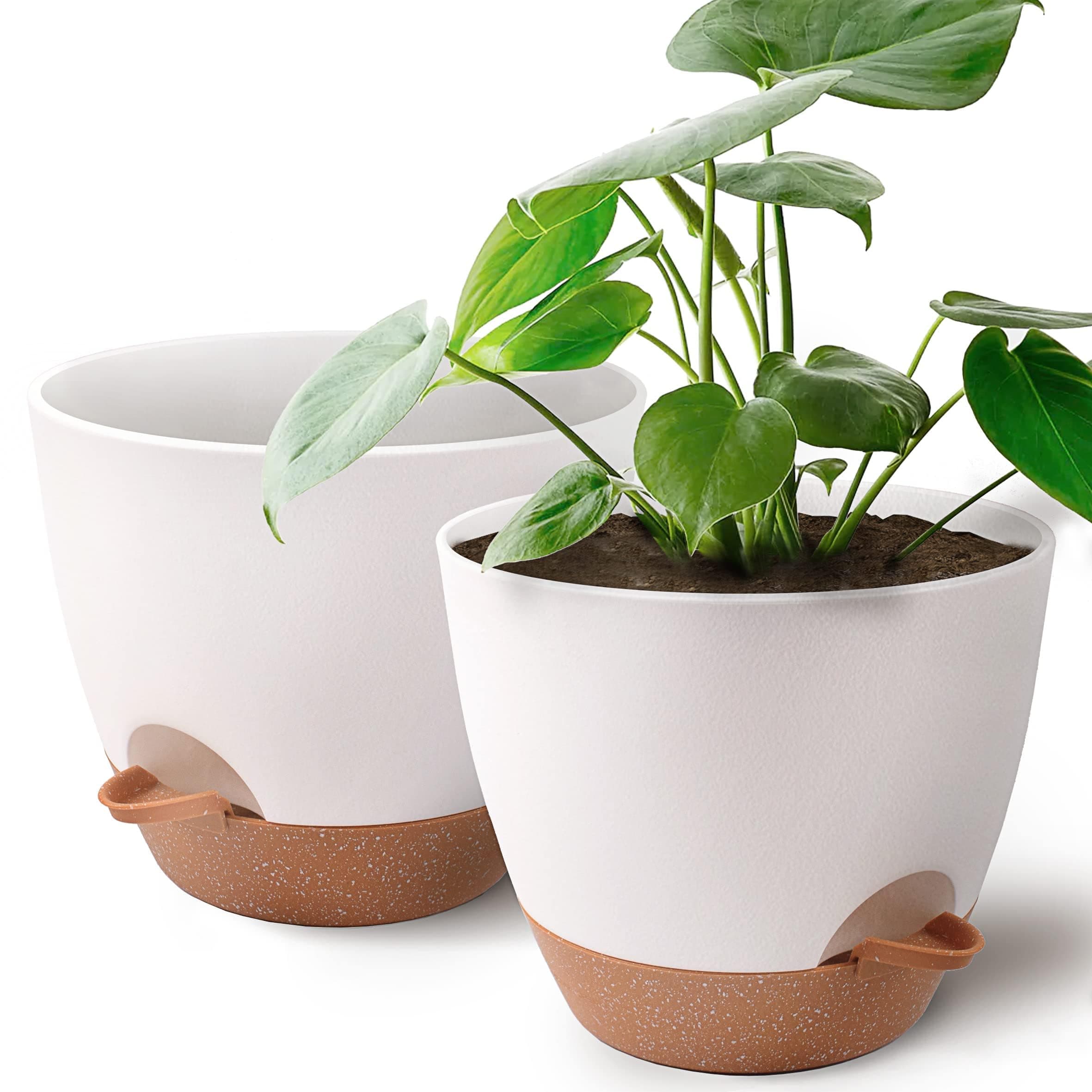DragonSon 9 inch Plant Pots 2-Pack, Self Watering Flower Pots Indoor Outdoor, Planters with Drainage Hole Saucer Reservoir, White Brown
