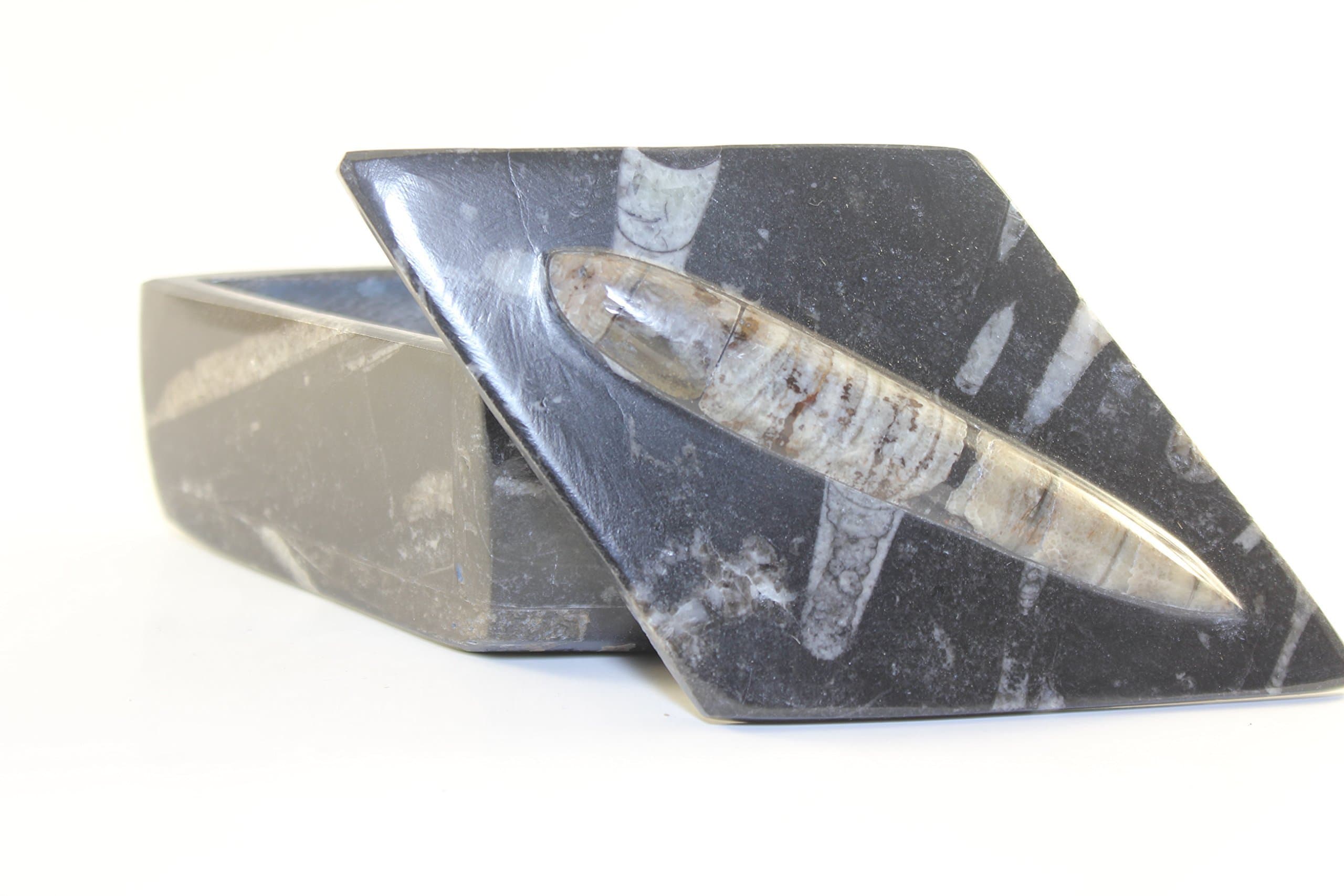 Jewelry Box From Morocco With Fossils Of Orthoceras Handmade Great Smudging Bowl