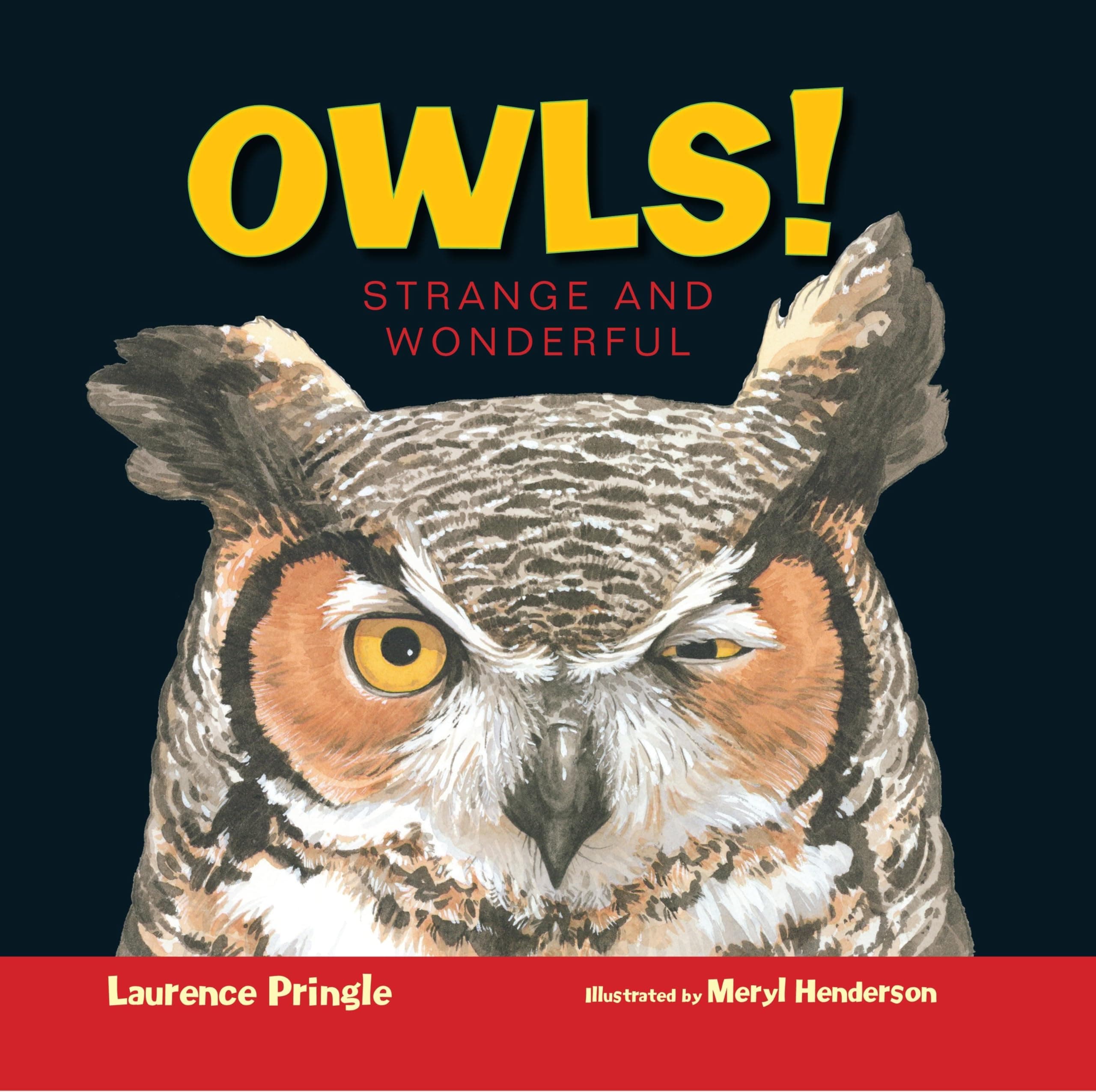 Owls!: Strange and Wonderful Hardcover – Picture Book, March 8, 2016