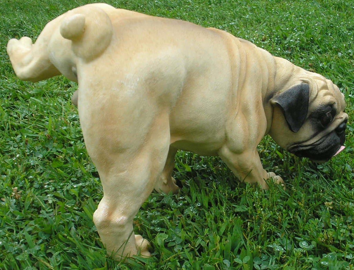 PUG Statue Peeing Dog Novelty Outdoor Lawn Figurine 10"H