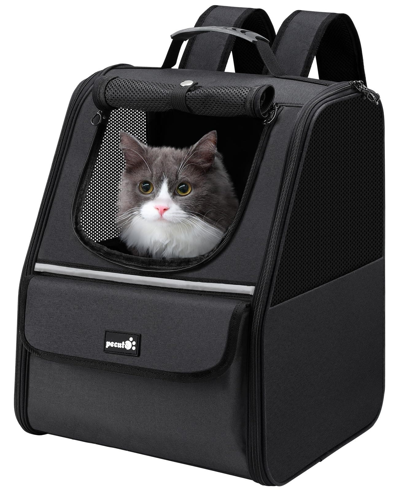 Pecute Cat Backpack Carrier, Small Dog Backpack Carrier, Pet Backpack Carrier for Cats Dogs Puppy Kitten, Cat Carrier Bag Carrying for Travel Hiking Bike Riding Walking Outdoor,Black