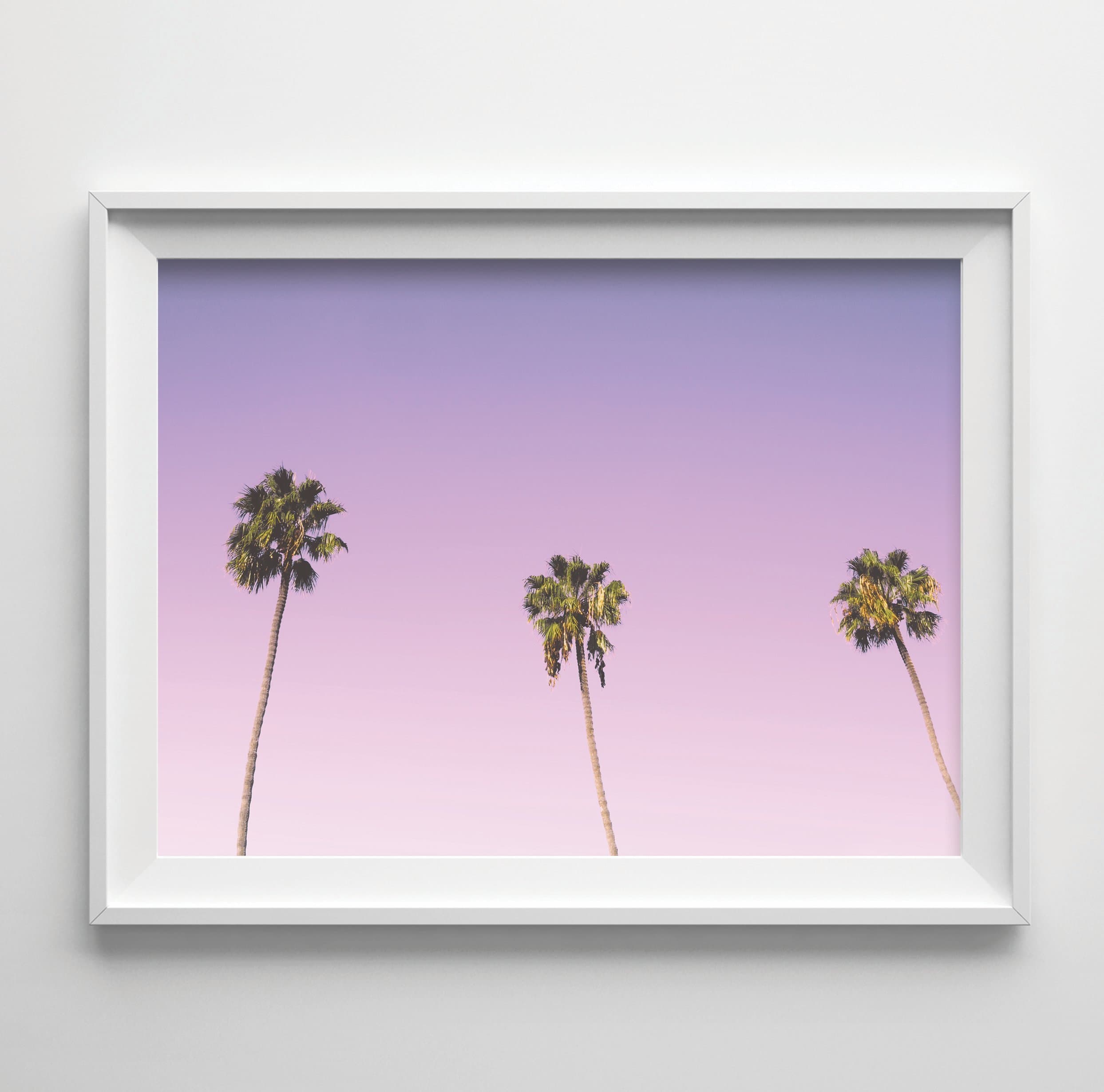 "Pink Palm Tree Sunset" Art Print Photography 8x11.5 Print