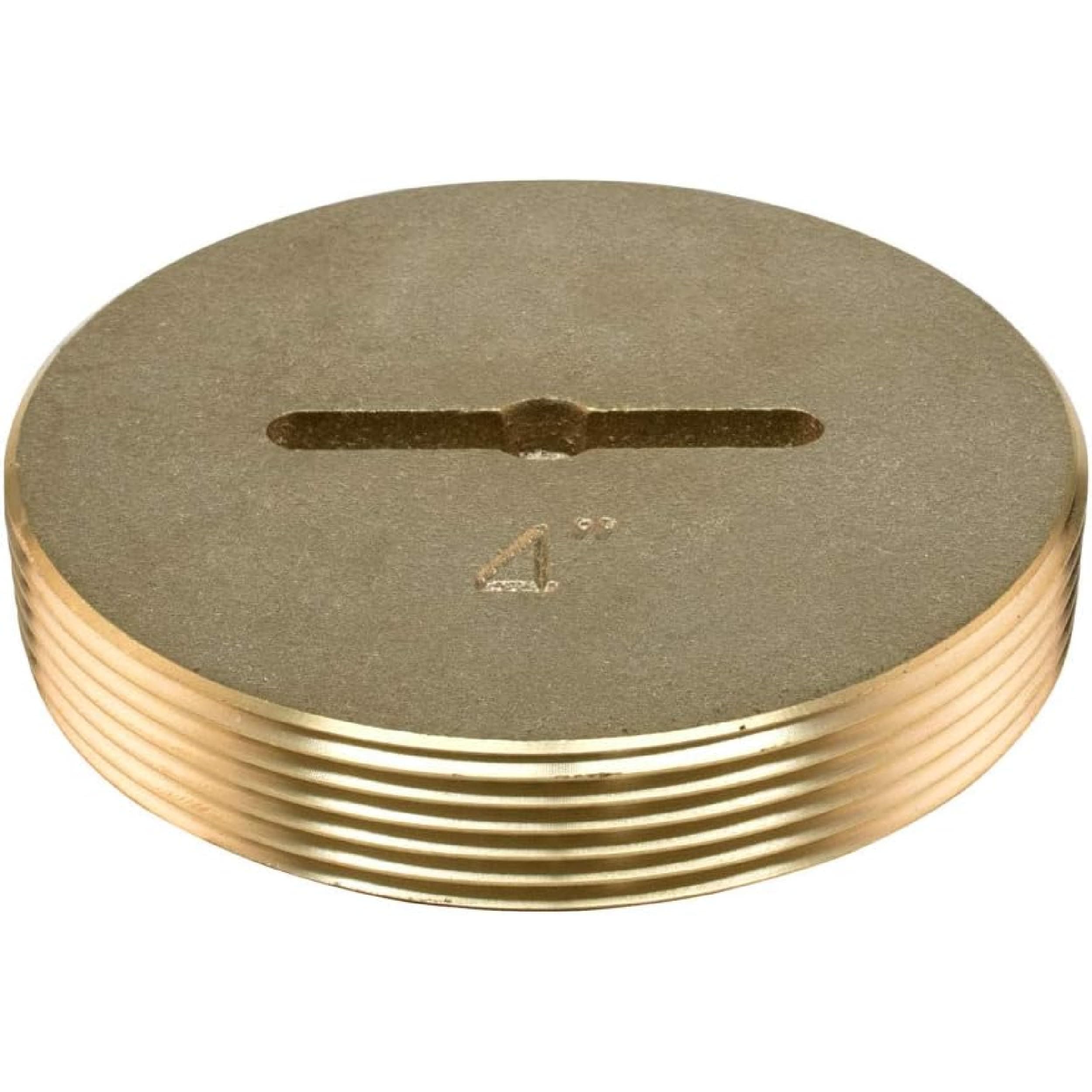 Eastman 4 Inch Slotted Brass Cleanout Plug, 42004