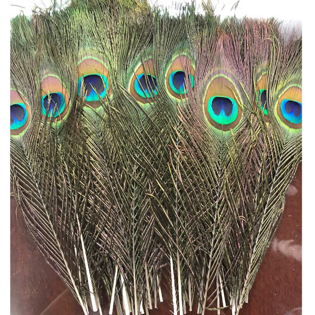 SHUO Natural Peacock Feathers 10"-12" with Eye Peacock Tail Feathers（25pack）