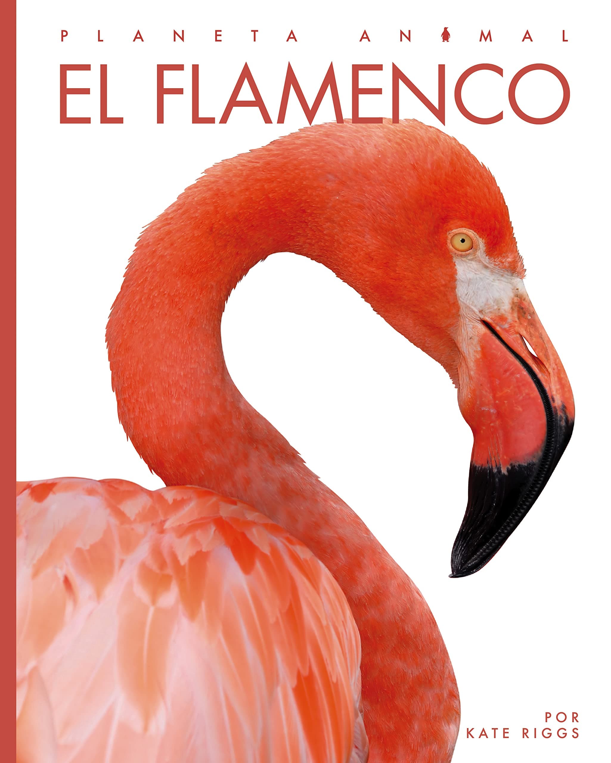 El Flamenco (Planeta Animal)