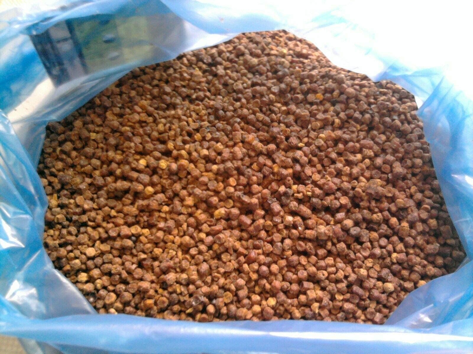 450g / 1 pound Bees Bread (Perga, Bienenbrot, Ambrosia)