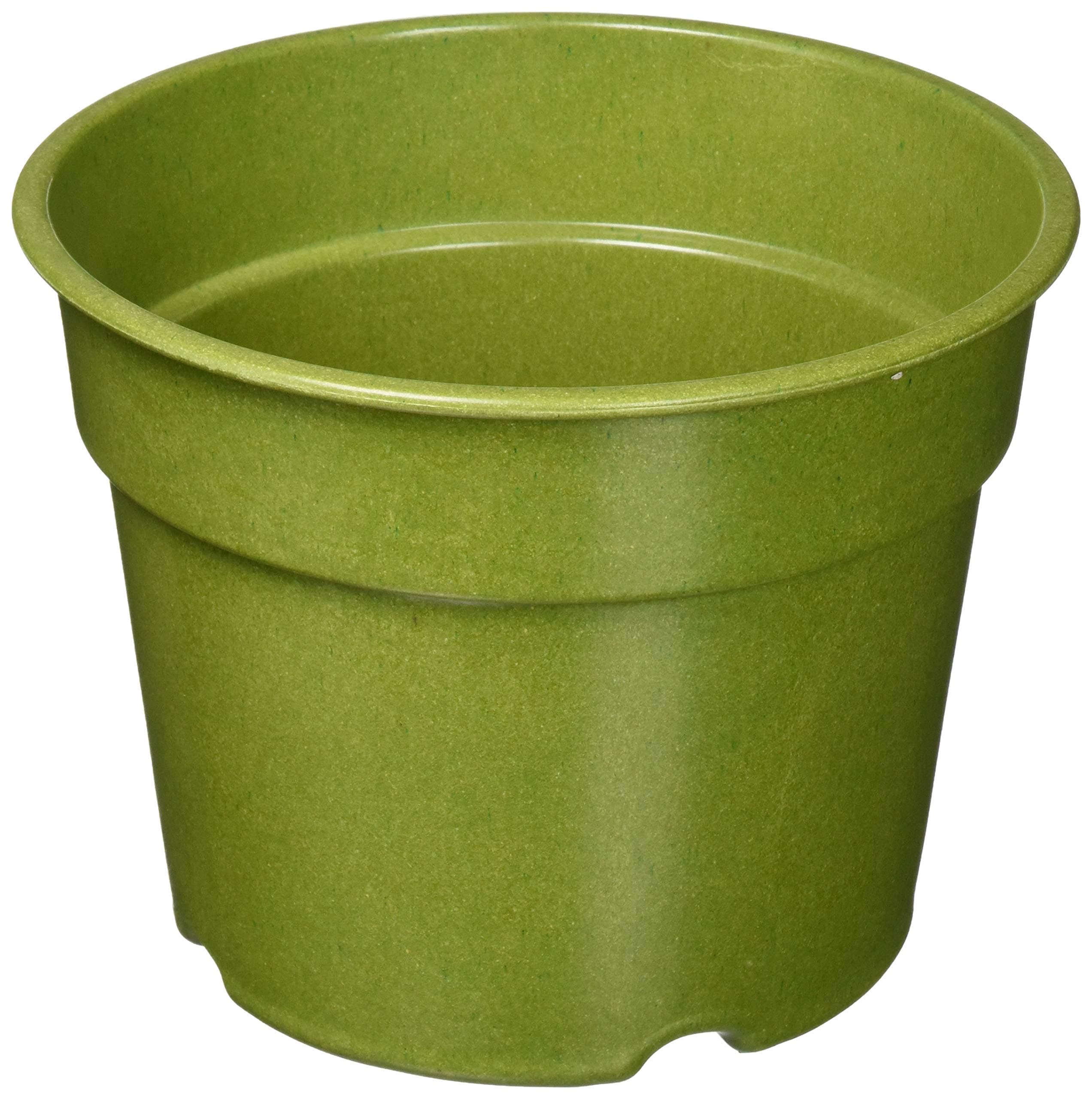 Rosso's International P5-4 5.6-Inch by 7.1-Inch Grass Decorative Biodegradable Bamboo Pot