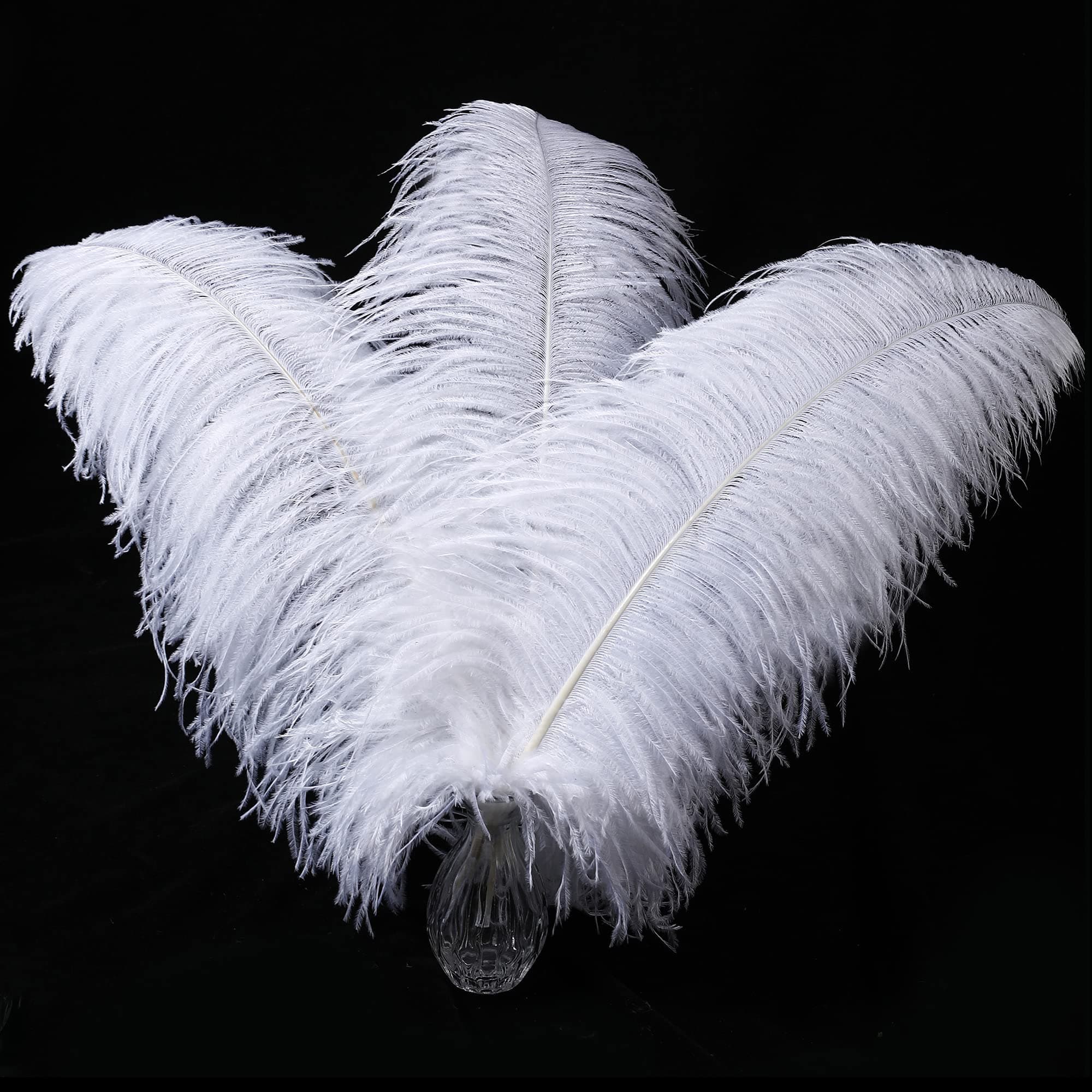 Larryhot White Large Ostrich Feathers - 16-18 inch 10pcs Feathers for Vase,Wedding Party Centerpieces and Home Decorations (White)