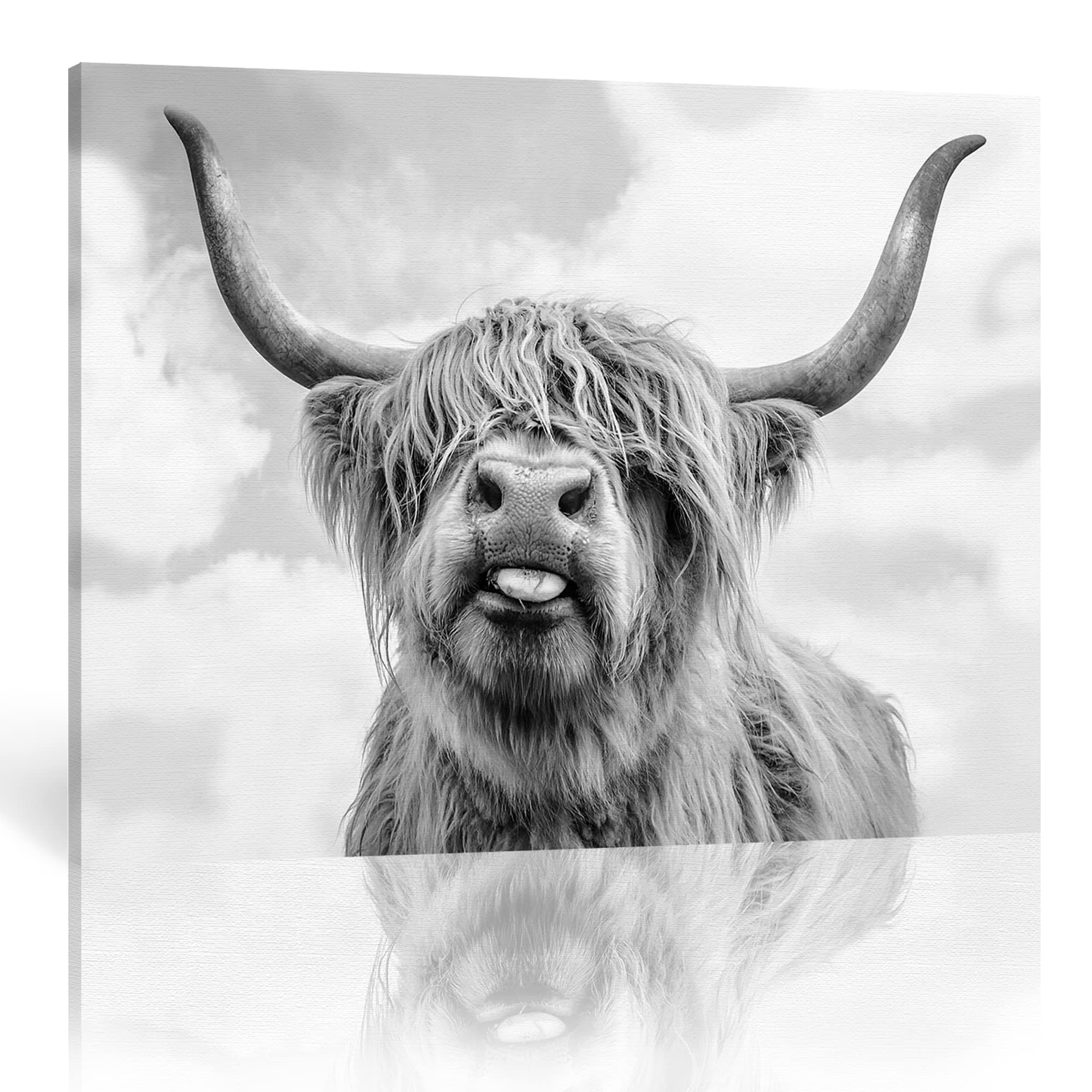 LP ART Canvas Print Wall Art Black and White Freedom Highland Cow Pictures Painting for Living Room Bedroom Modern Home Decor Ready to Hang Stretched and Framed Artwork 16"x20"