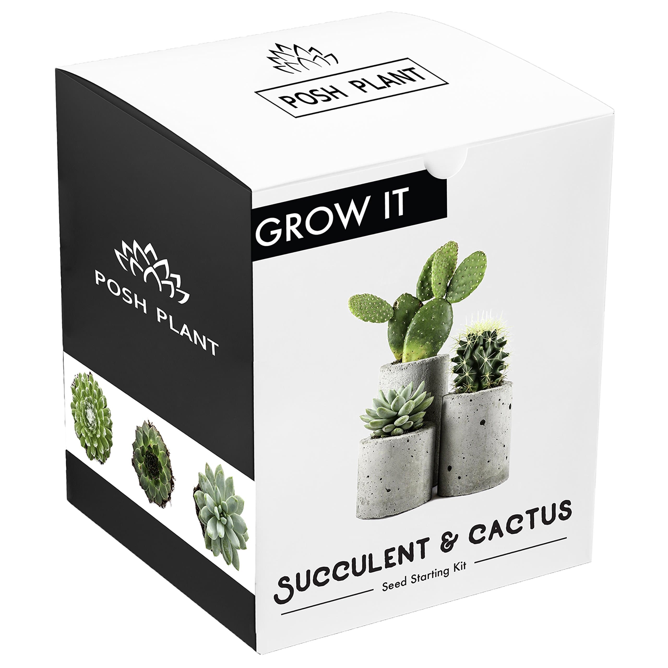 Succulent and Cactus Growing Kit - Complete with Succulent & Cacti Seeds, Pots, Organic Soil, and Comprehensive Growing Guide. Unique Indoor Garden Gift for Men & Women