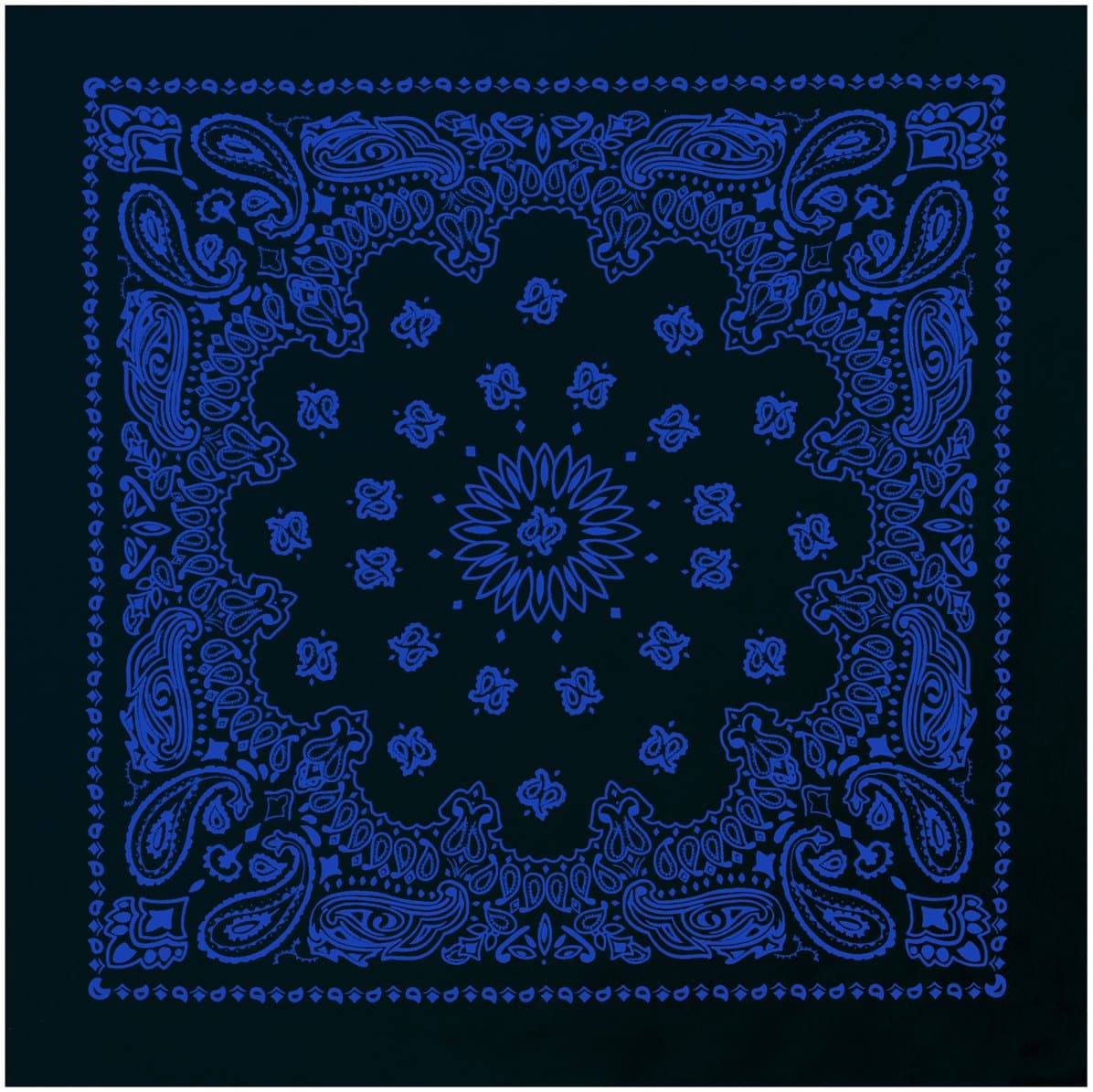 Trainmen Paisley Bandana - Standard - 22" X 22"