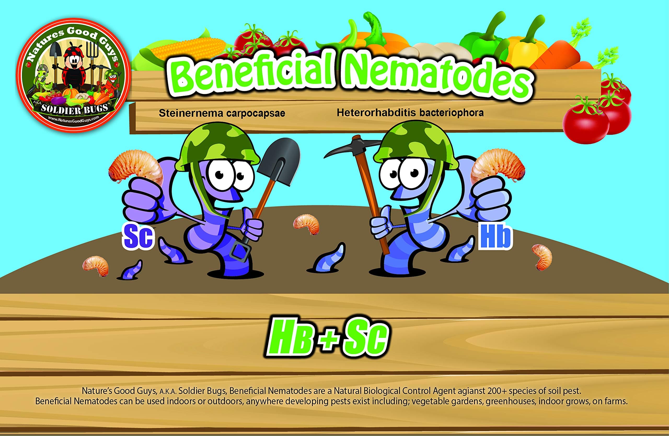 Bug Sales Live Beneficial Nematodes HB+SC (500 Million_Nematodes_HB+SC)