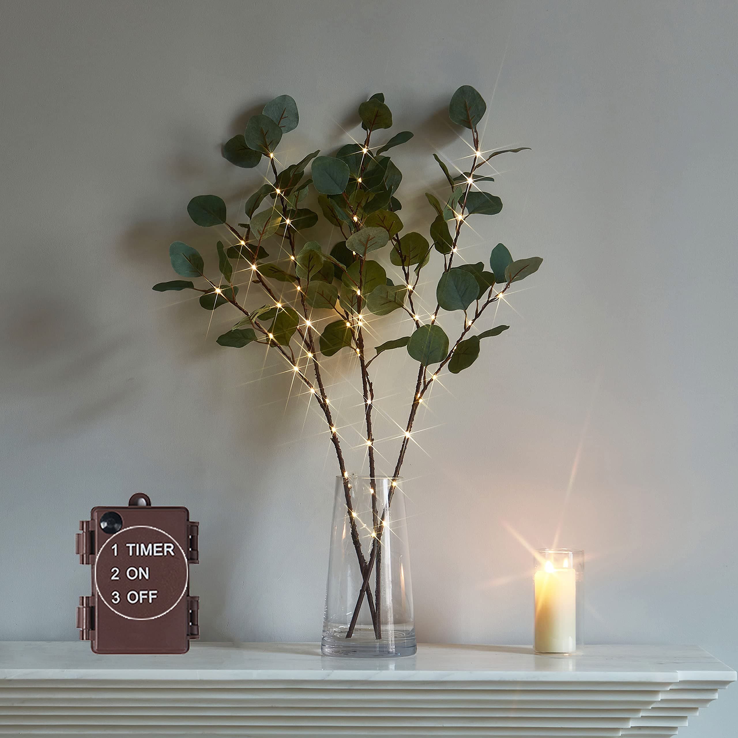 Eucalyptus Branch Lights with