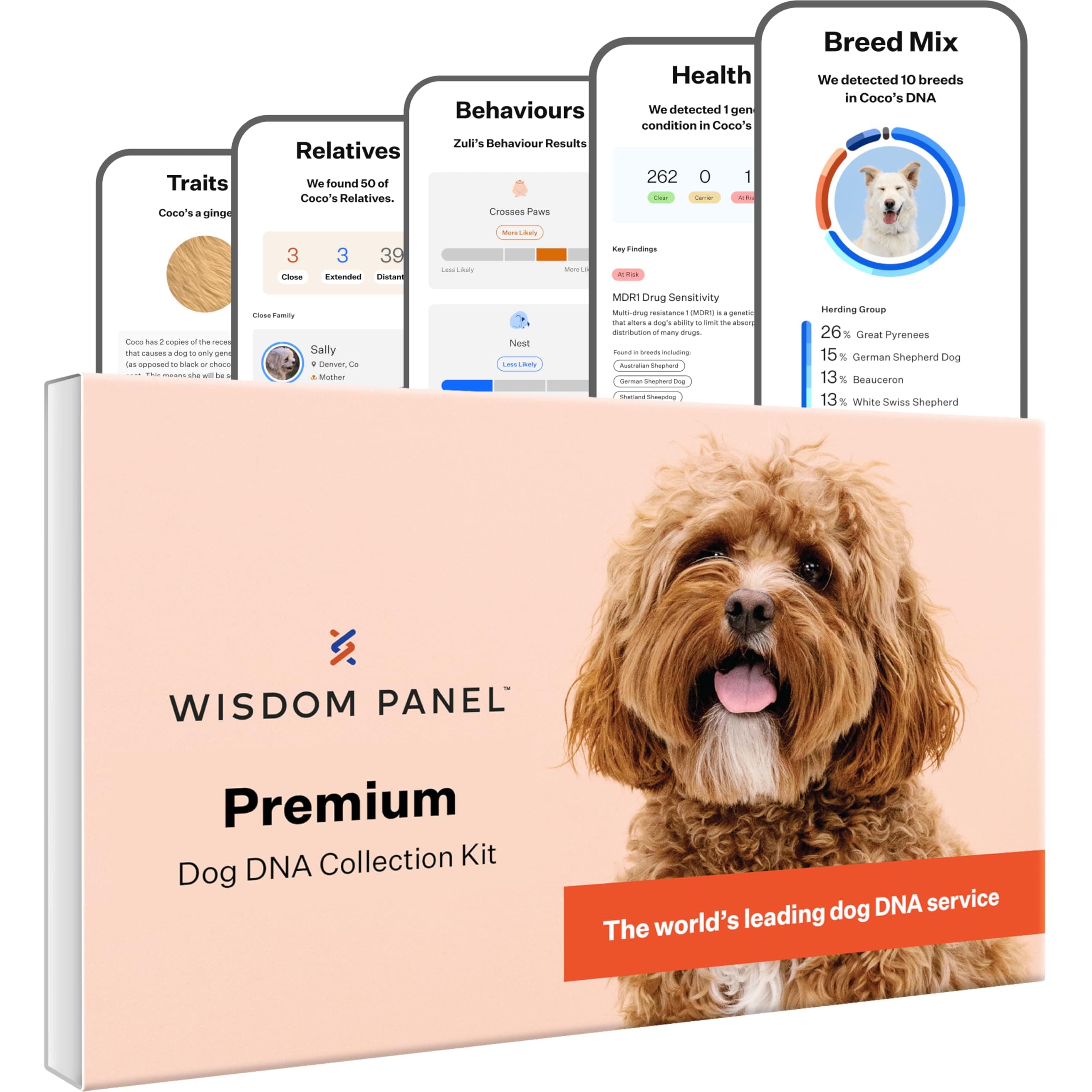 Panel Premium: Most Comprehensive Dog DNA Test for 260+ Health Tests | Accurate Breed ID and Ancestry | Traits | Relatives | Behaviours | Vet Consult