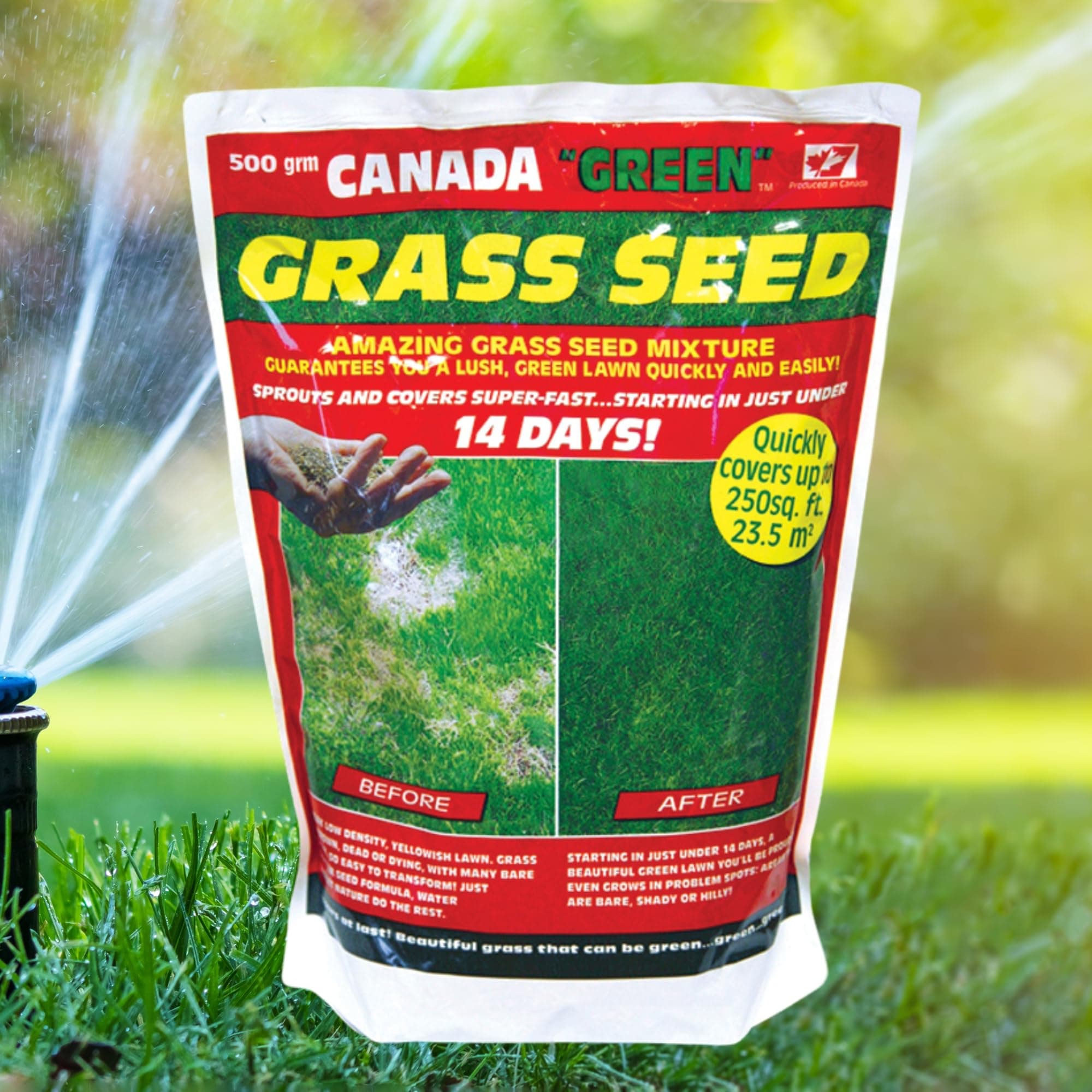 Canada Green Lawn Seed (500g) (Canada Green Lawn Seed)